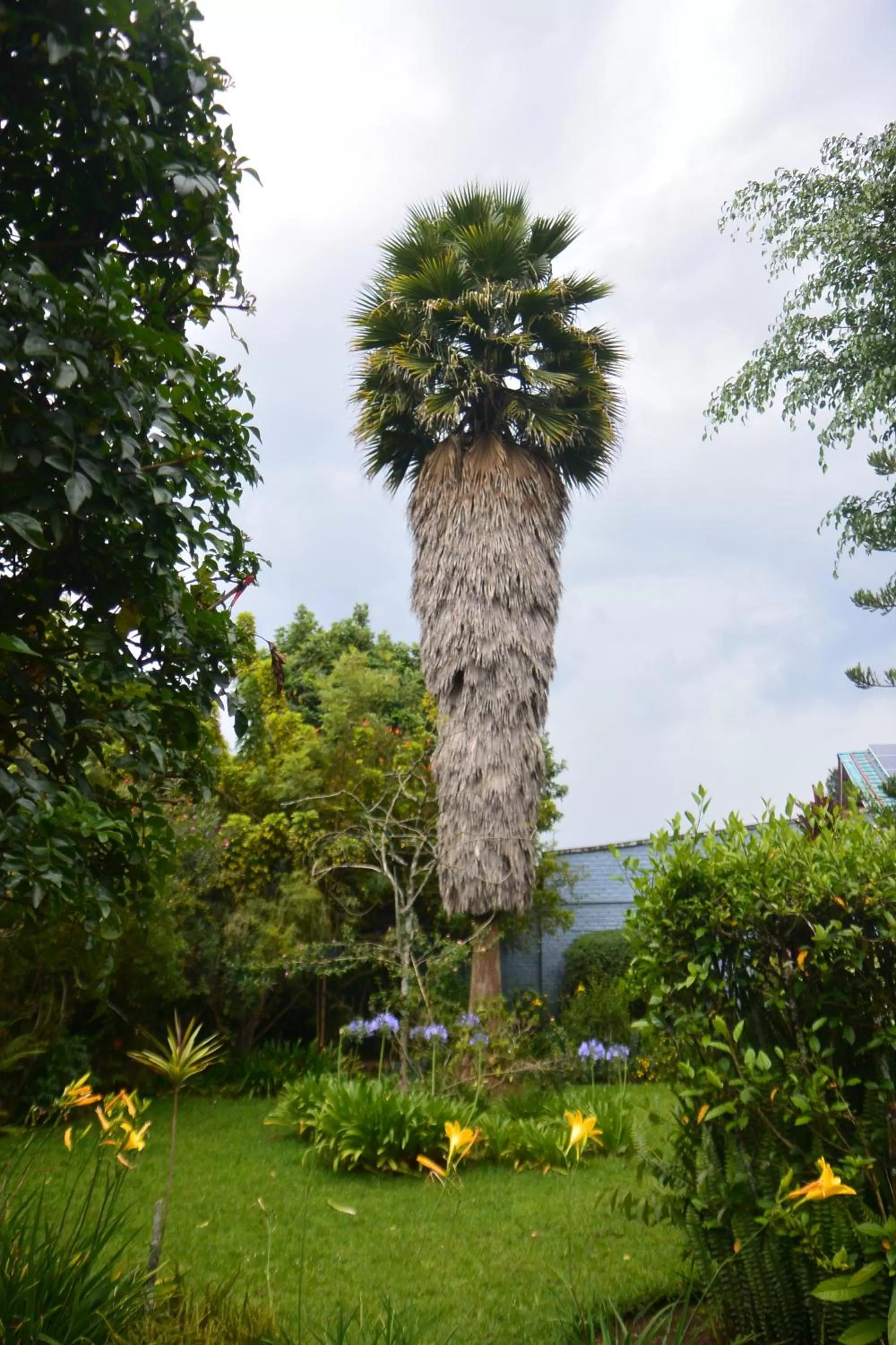 Garden in Isange Paradise Resort