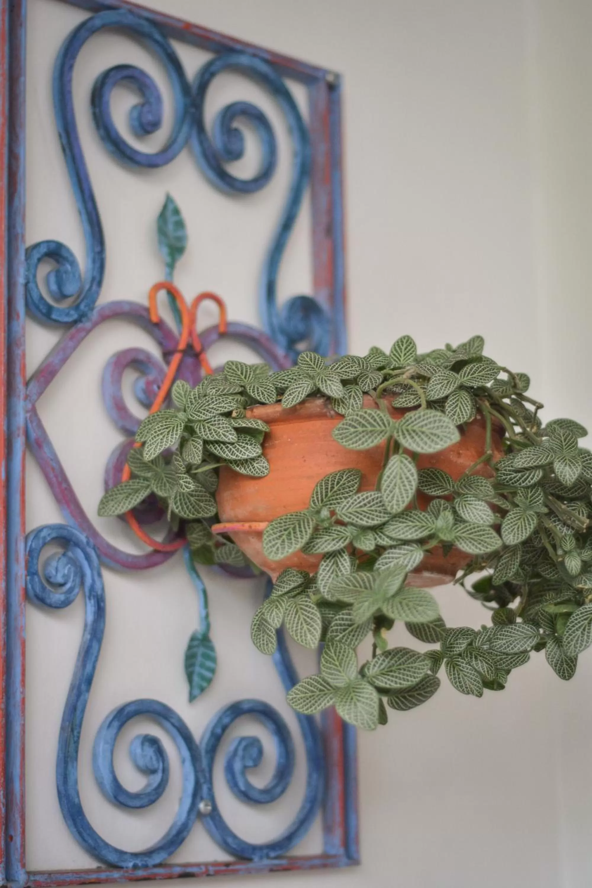 Area and facilities in Casa Hotel Jardin Azul