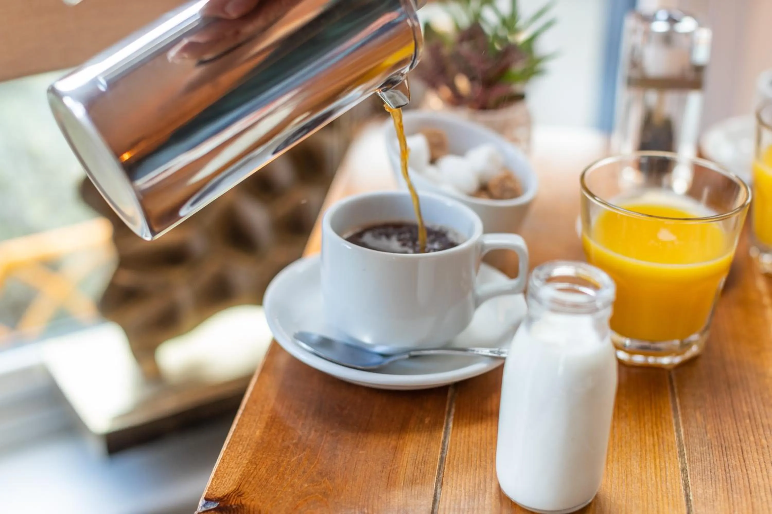 Non alcoholic drinks in Holly Lodge Guest House with FREE off site health club