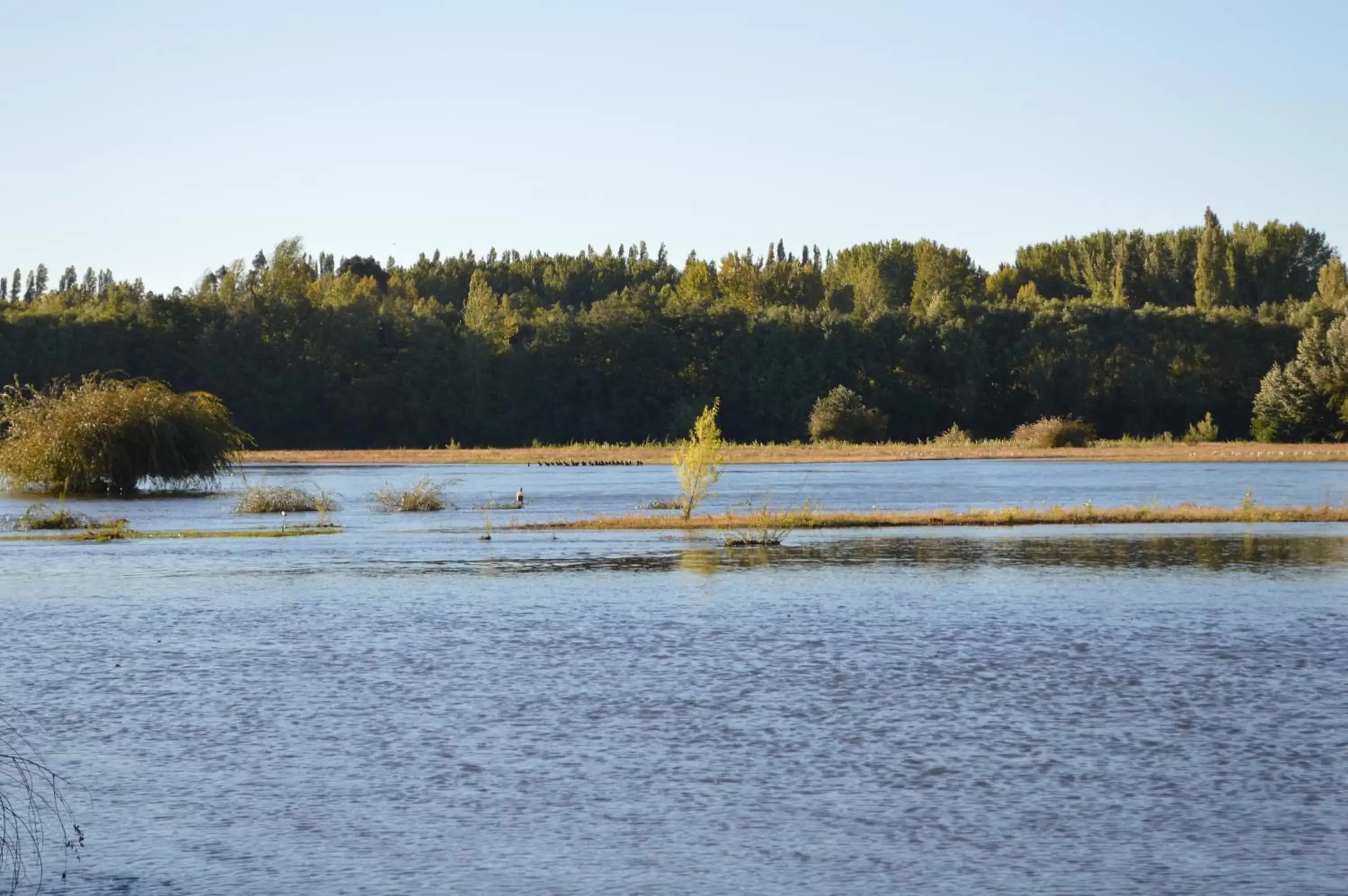 Standard Double Room with Two Double Beds in Coyunche Cabañas y Camping Laja & San Rosendo Standard Double Room with Two Double Beds in Coyunche Cabañas y Camping Laja & San Rosendo