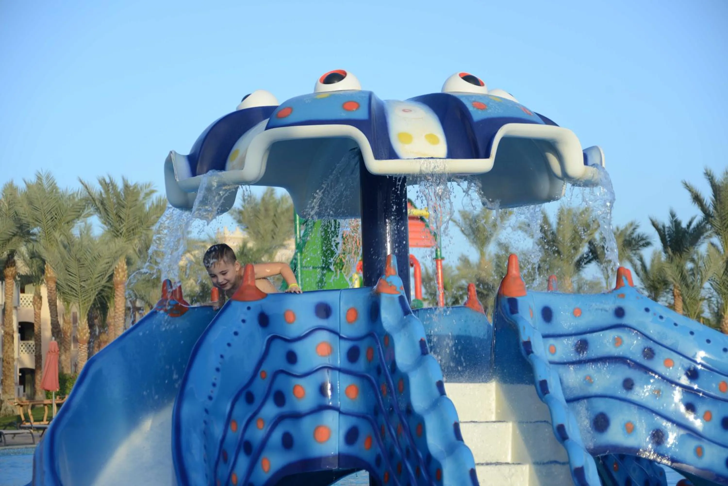 Aqua park, Water Park in Albatros Palace Resort (Families and Couples Only)