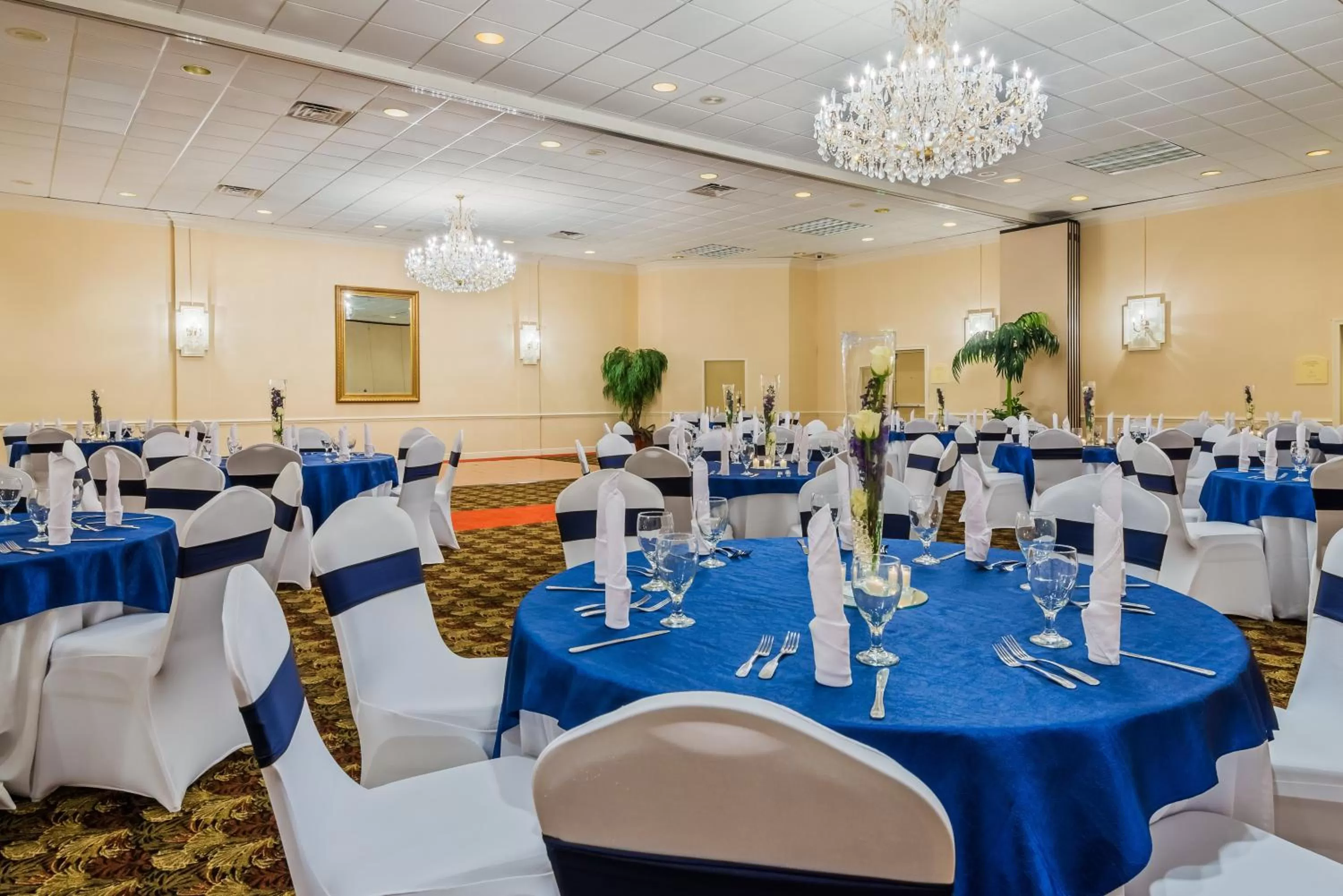 Banquet/Function facilities in Holiday Inn Mobile Downtown Historic District by IHG