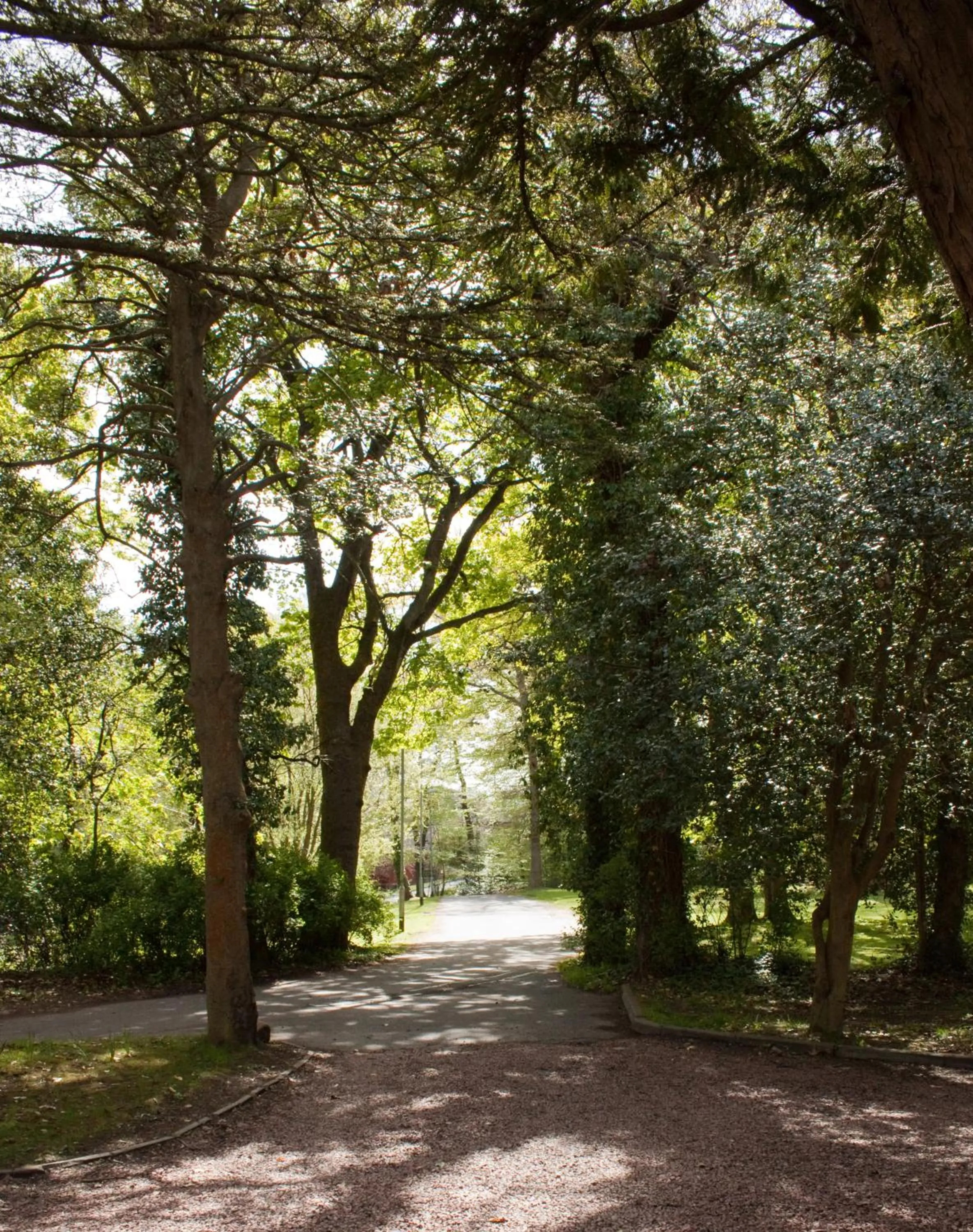 Garden in Bankton House