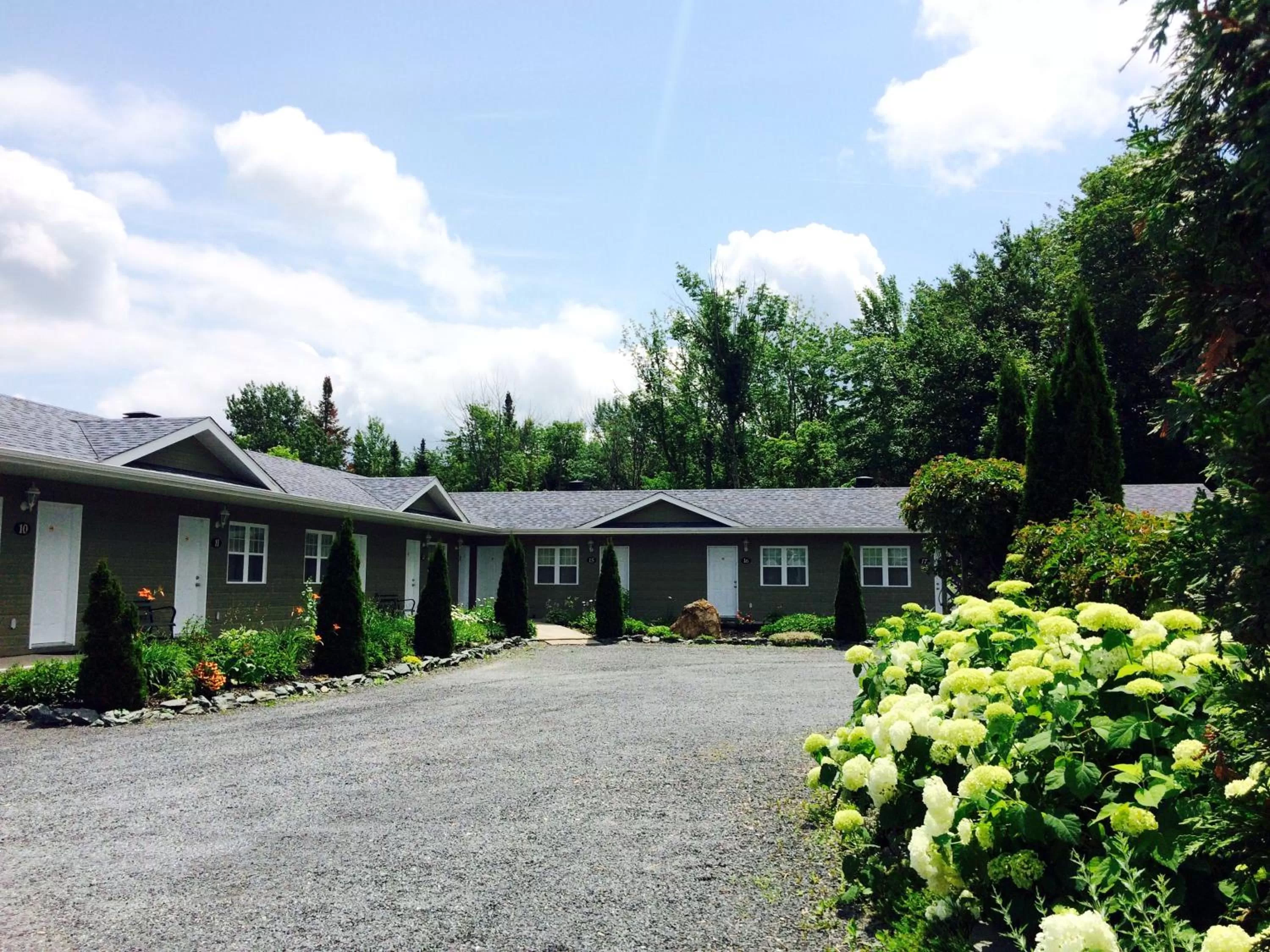 Floor plan in Motel des Cèdres