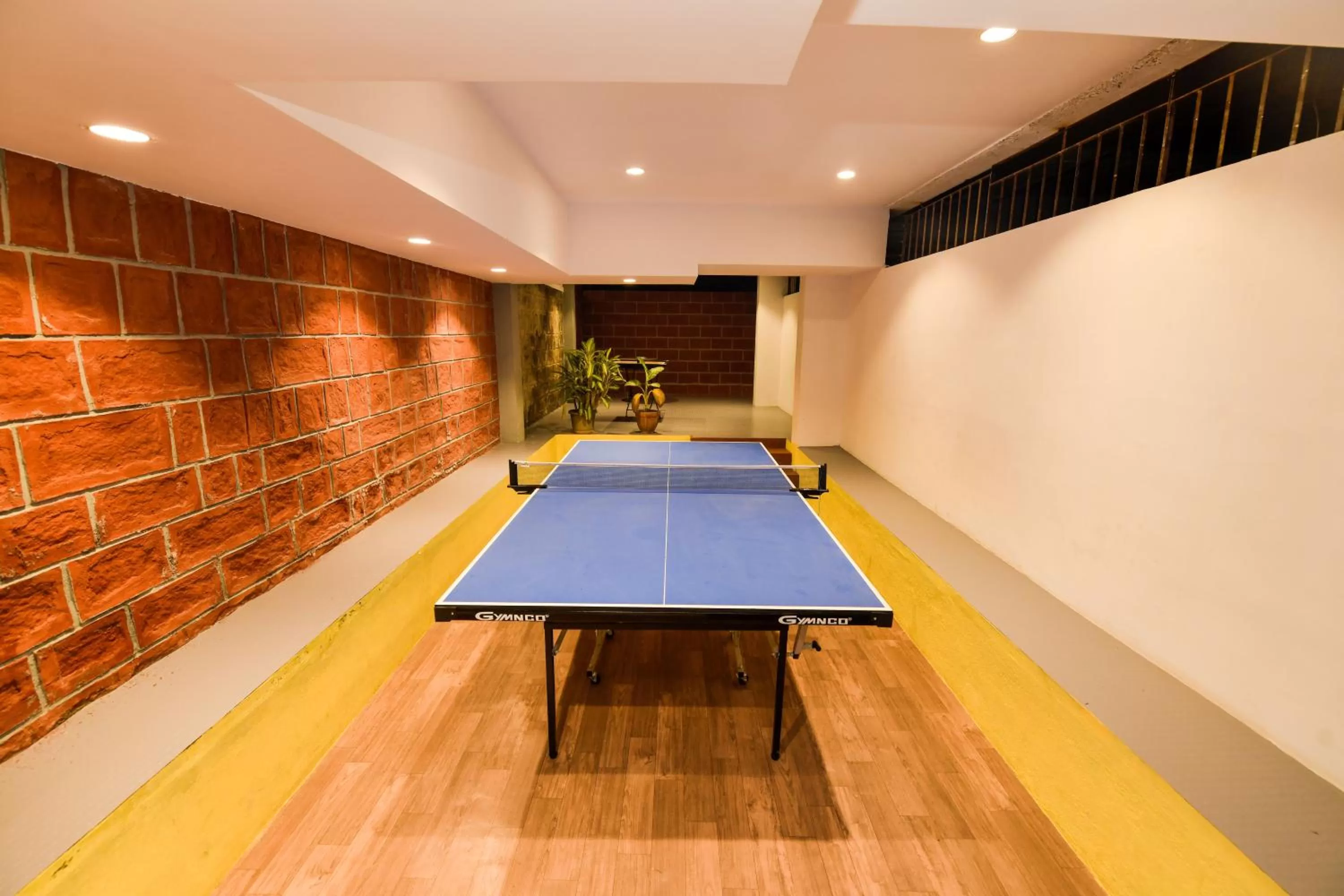 Game Room in SAFARI QUEST