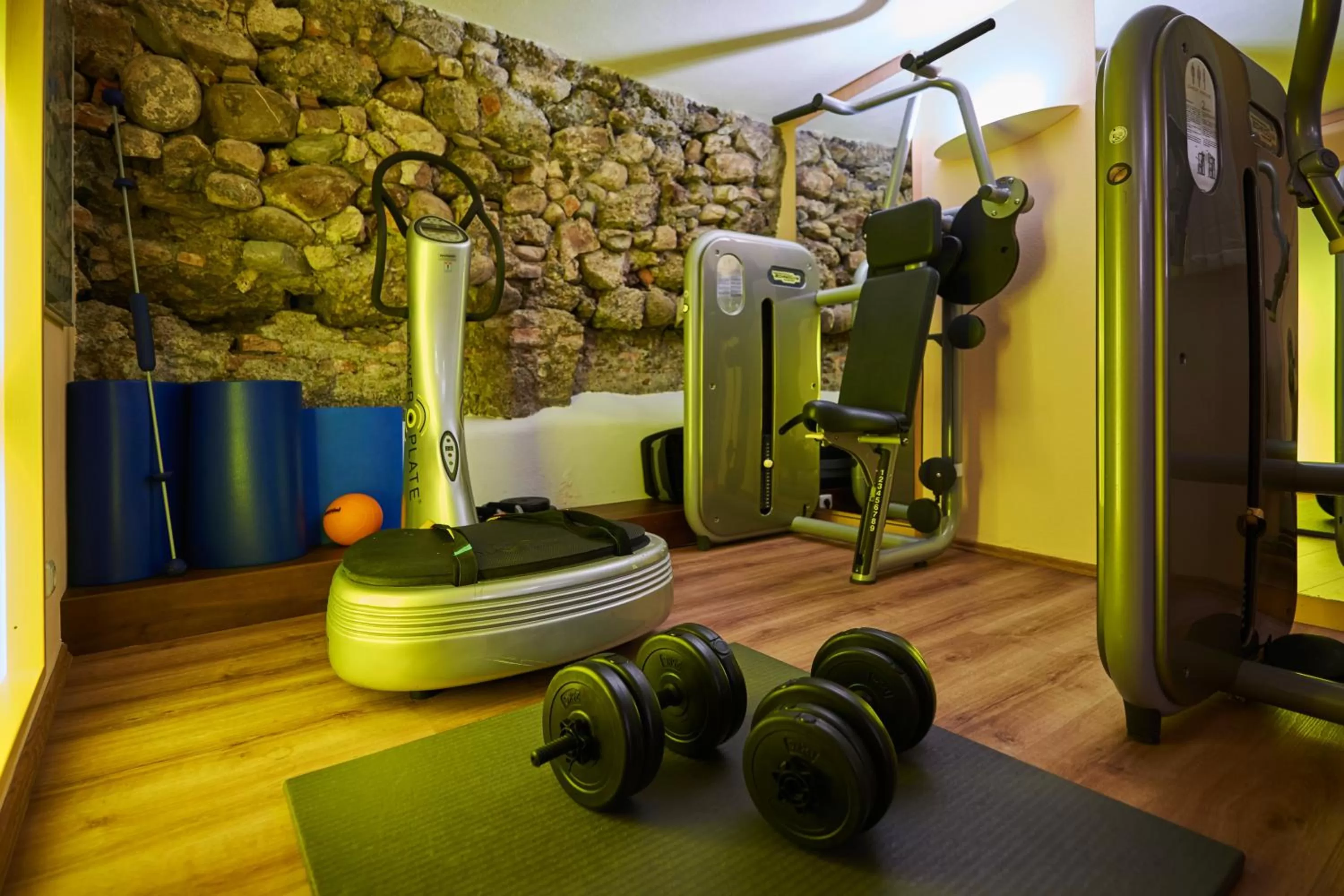 Fitness centre/facilities in Hotel Adler