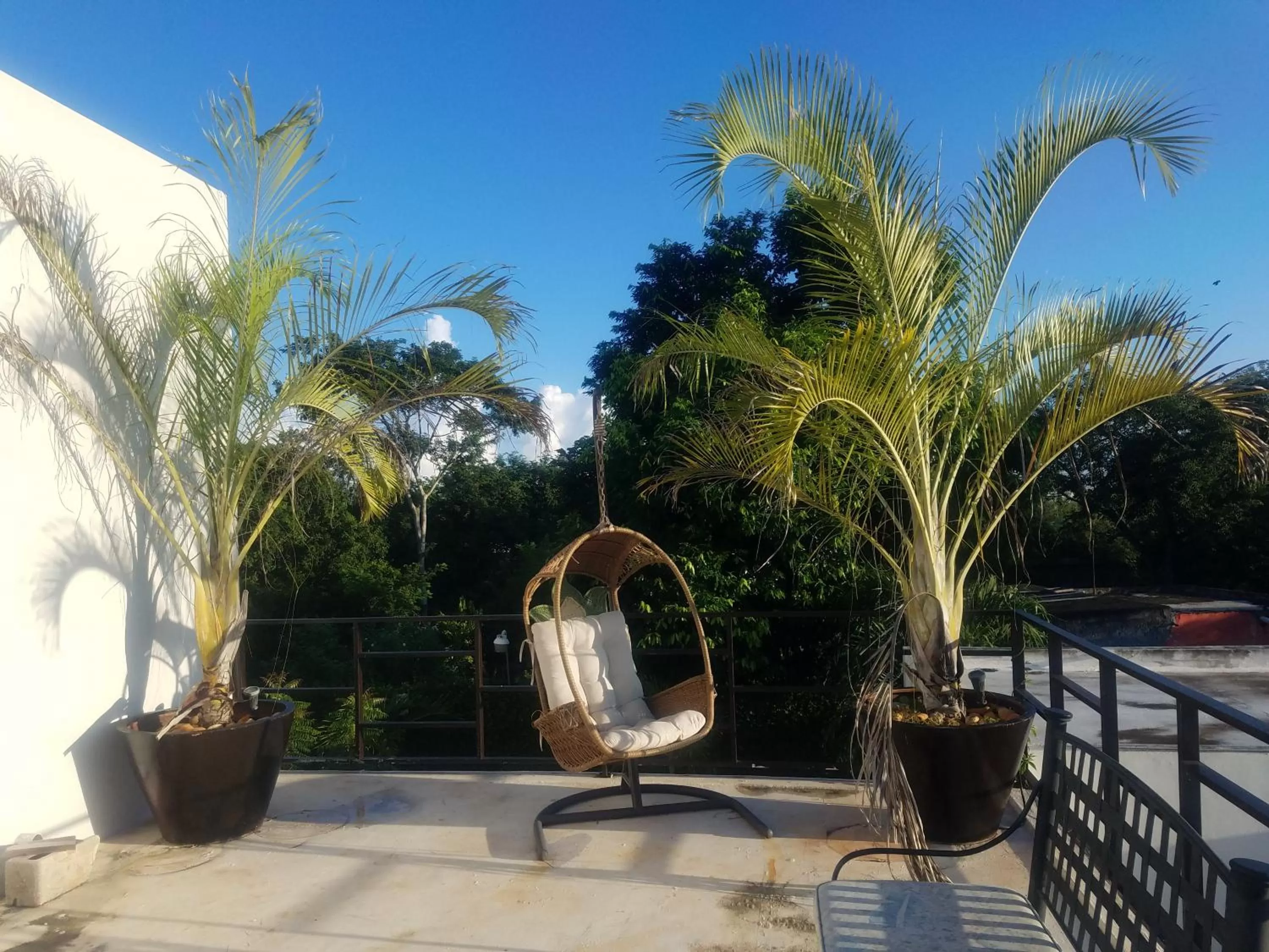 Balcony/Terrace in Casa Xcanatun