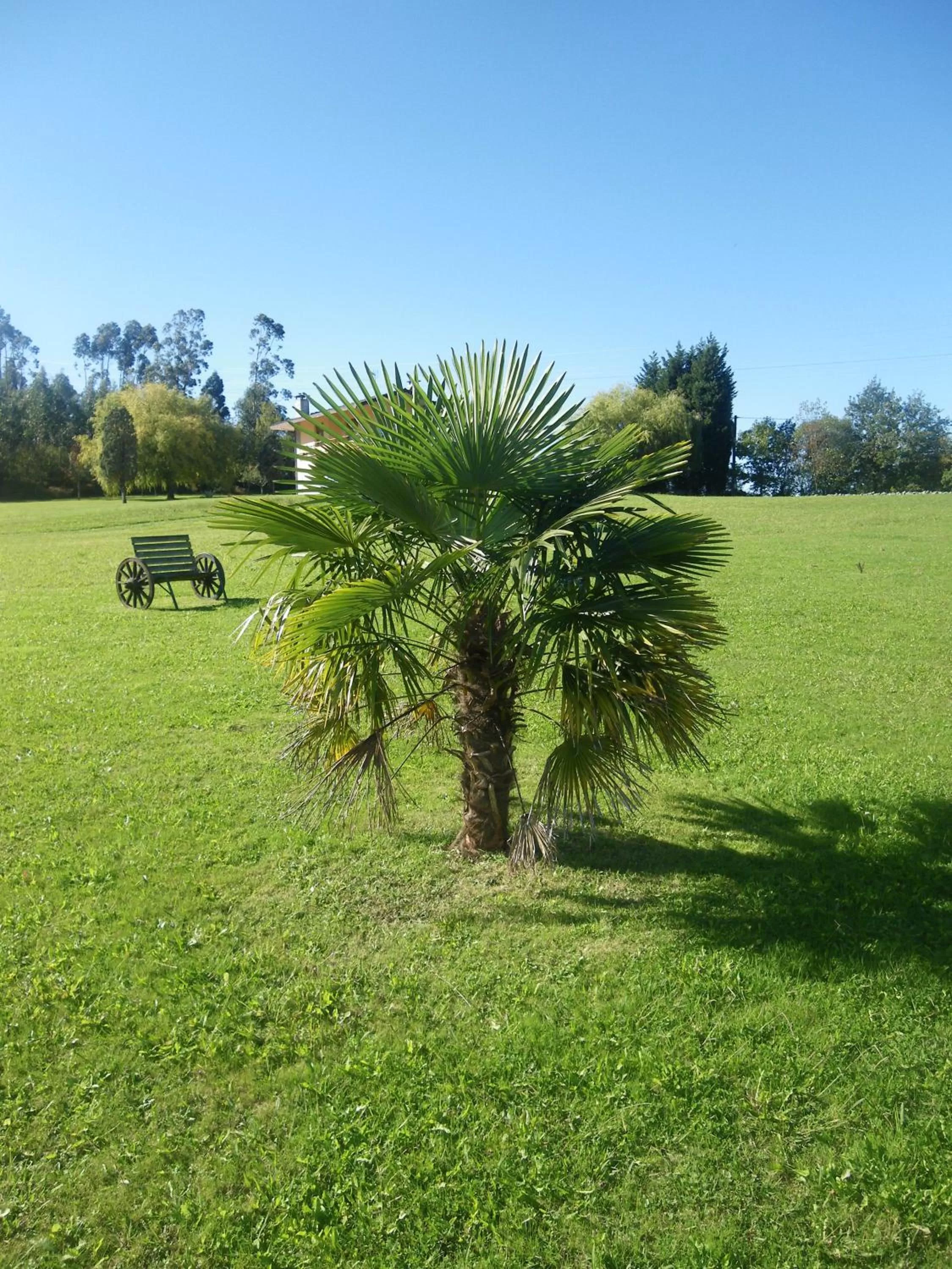 Garden in Hotel Matsa B&B