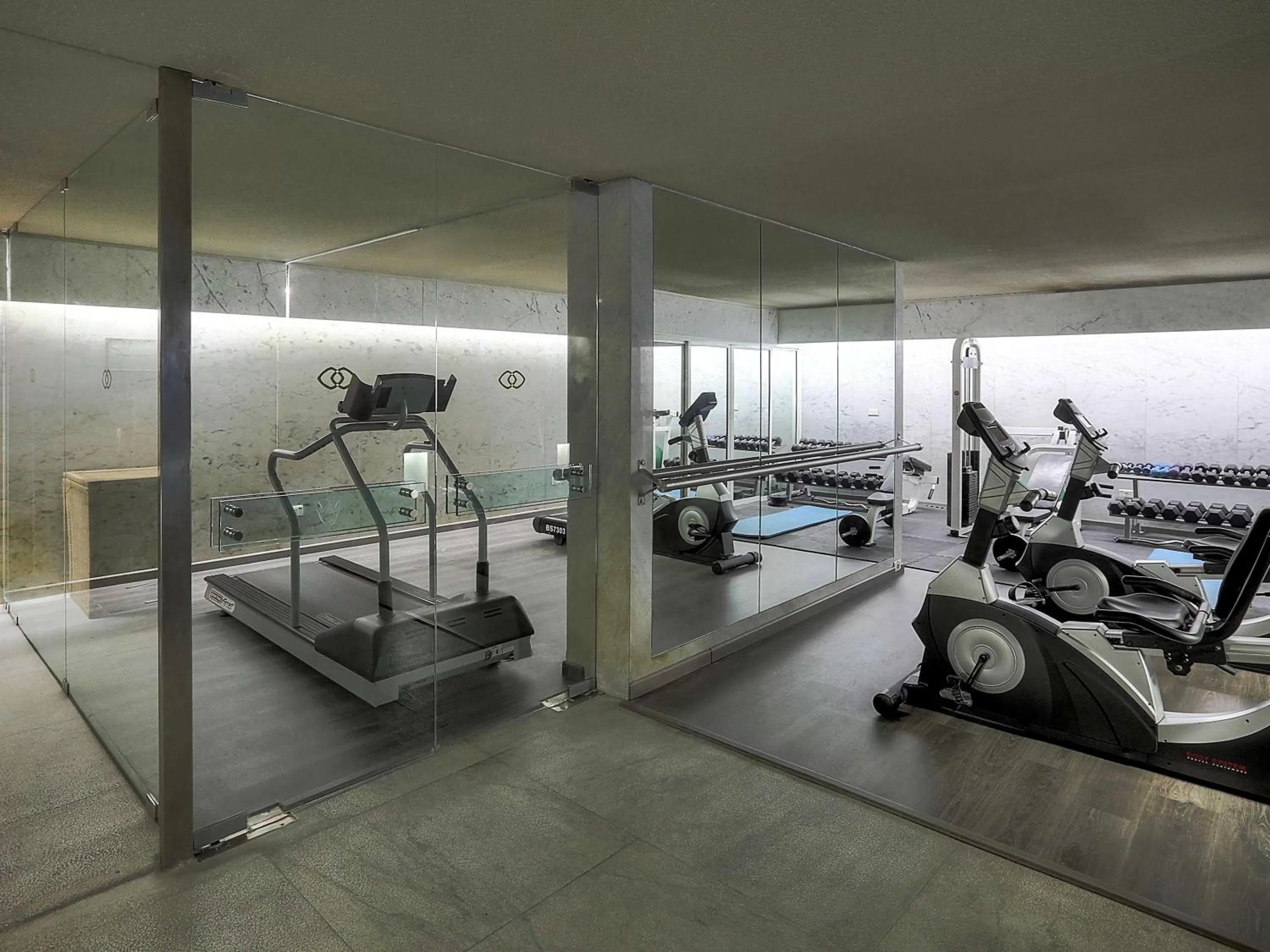 Fitness centre/facilities in Sofitel Beirut Le Gabriel
