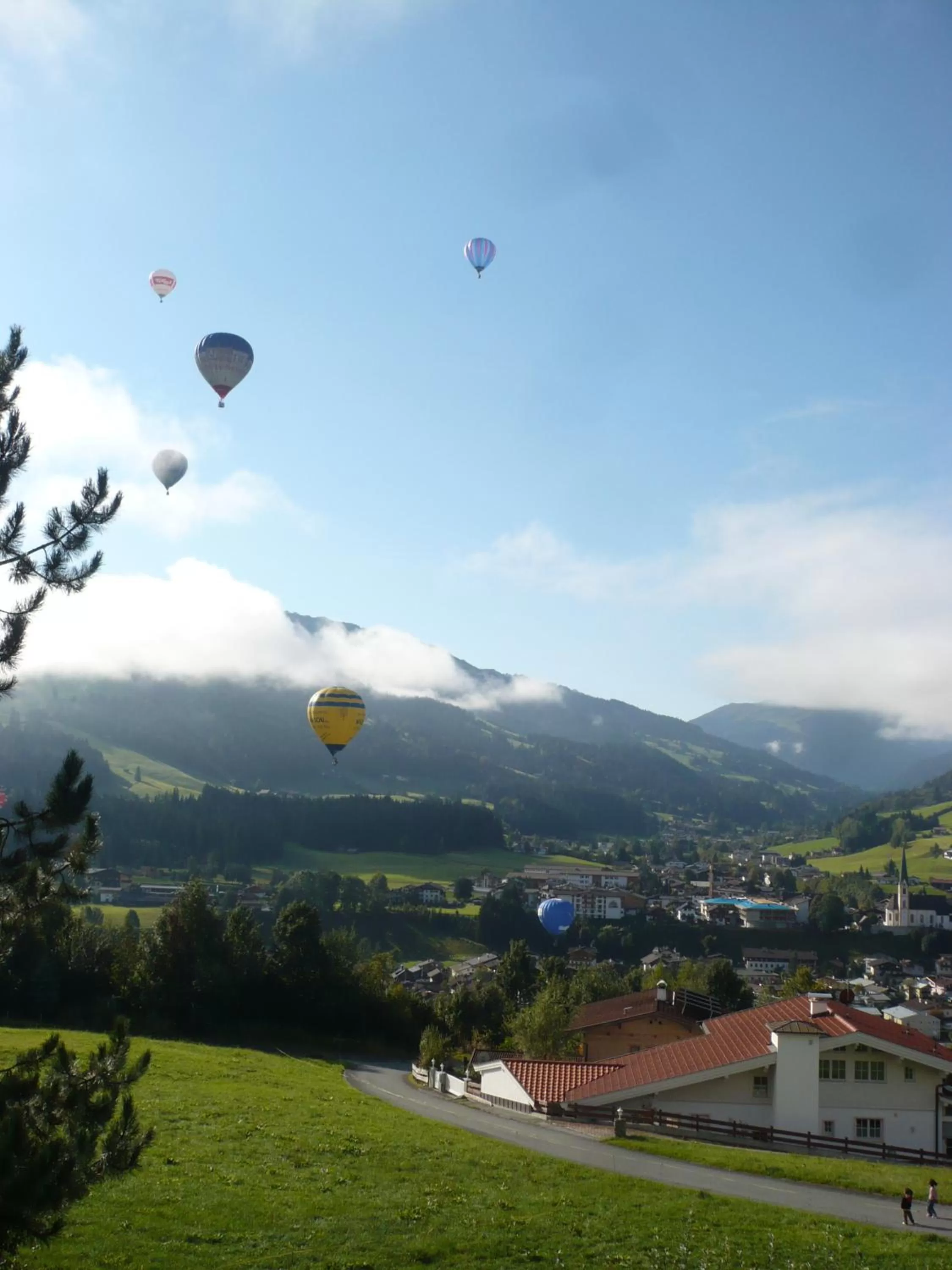 Area and facilities in Hotel Garni Wieshof