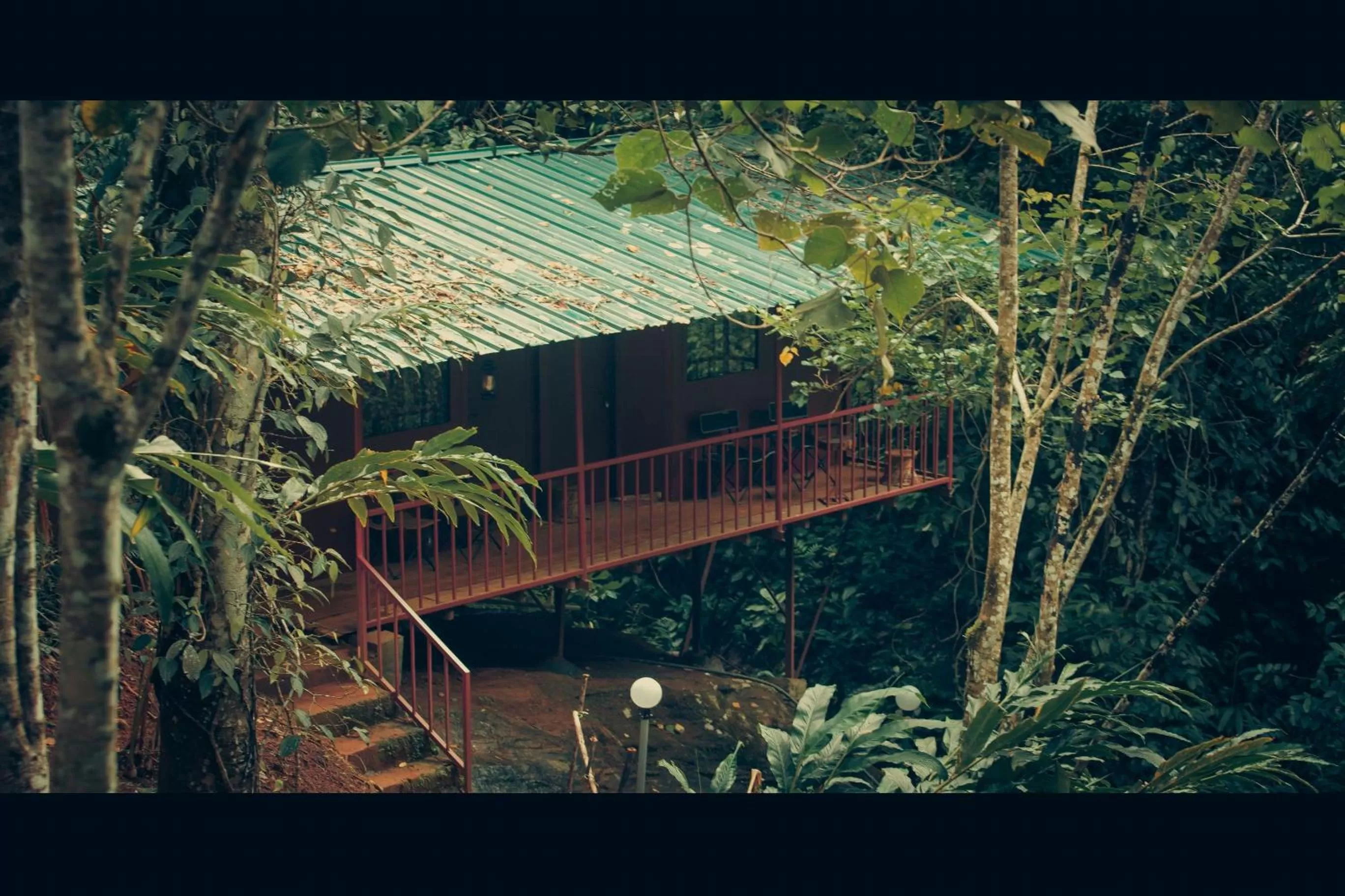 Bird's eye view in Ela Ecoland Nature Retreat