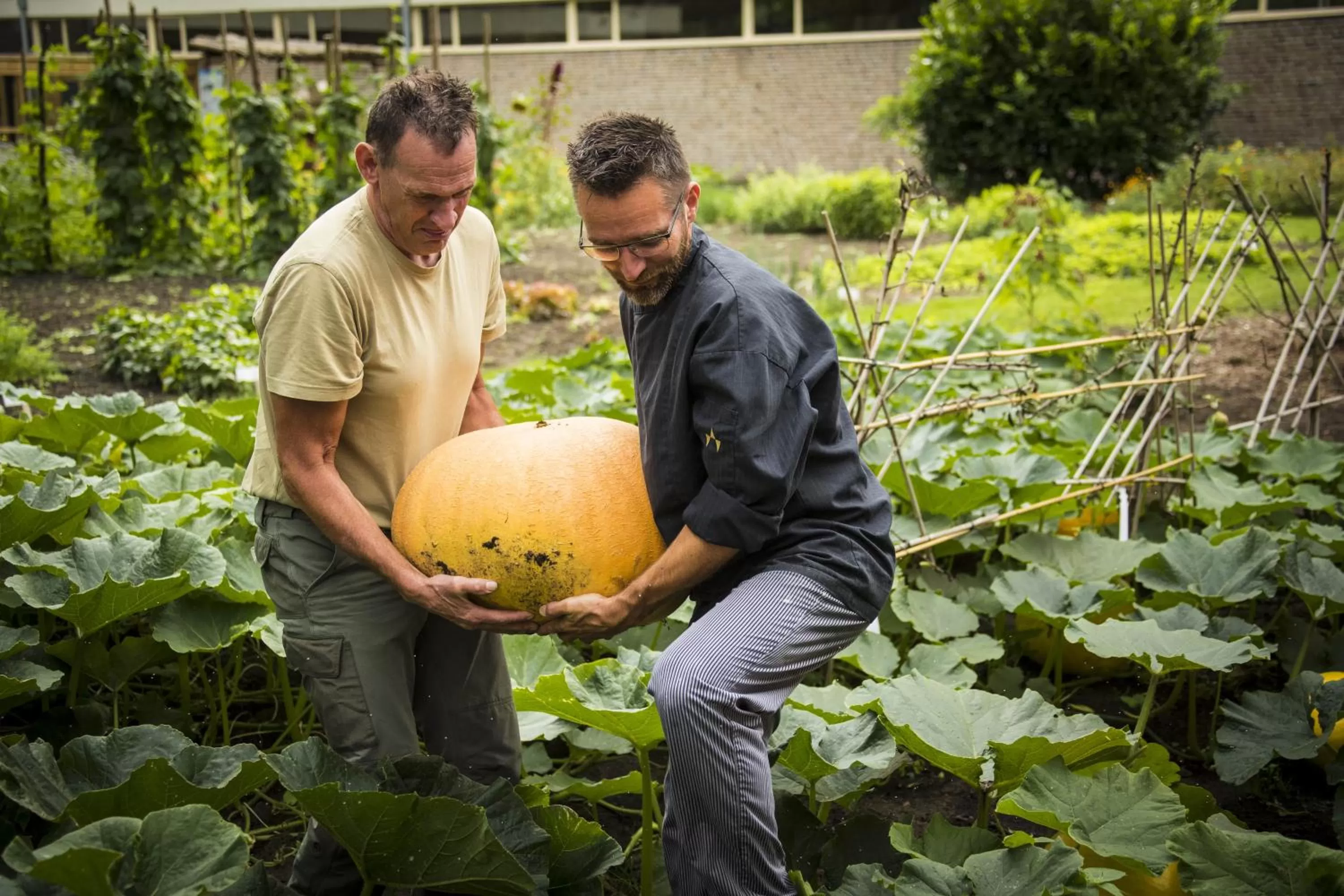 Garden in De Guldenberg 's-Hertogenbosch Helvoirt