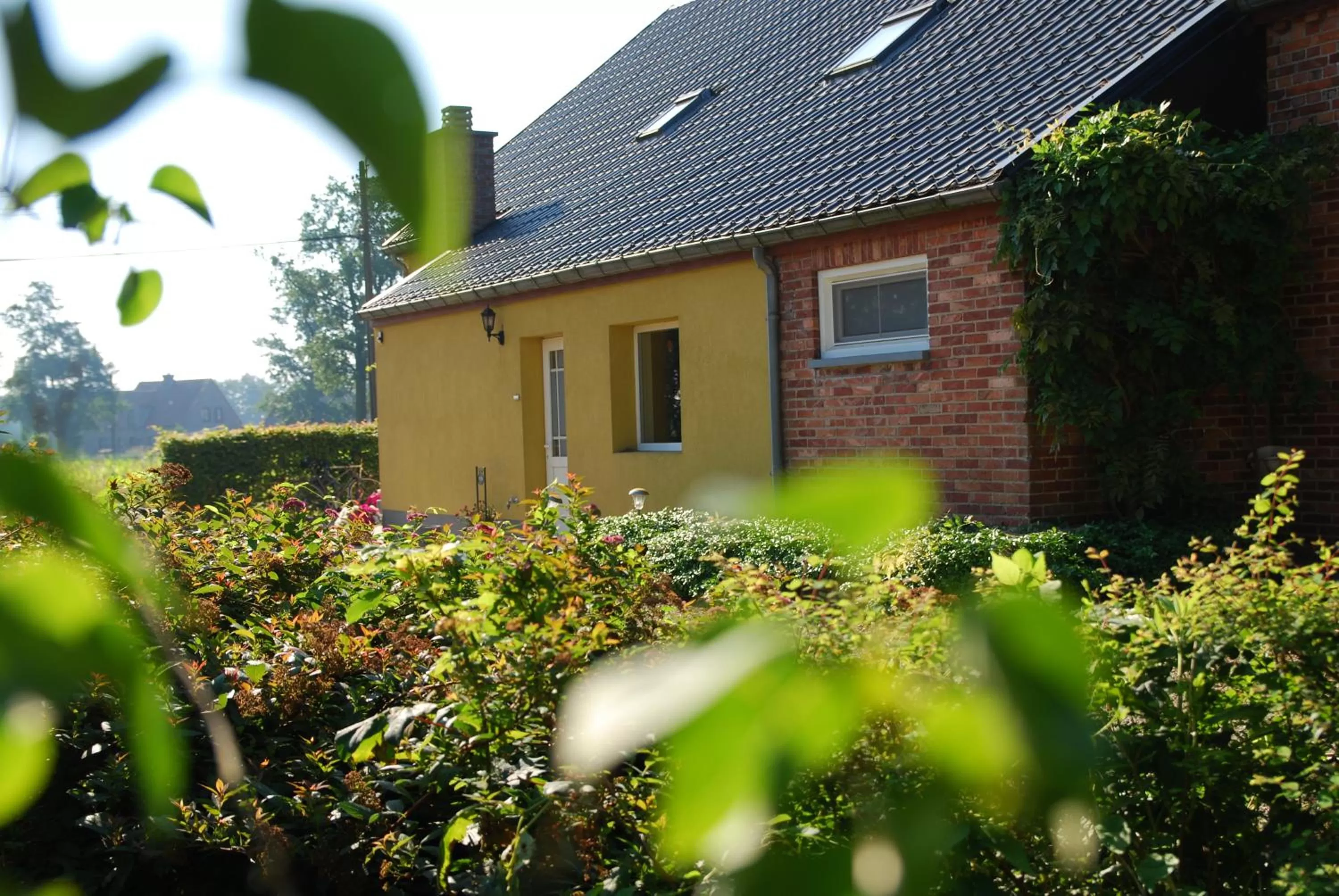 Facade/entrance in B&B Het Uilennest