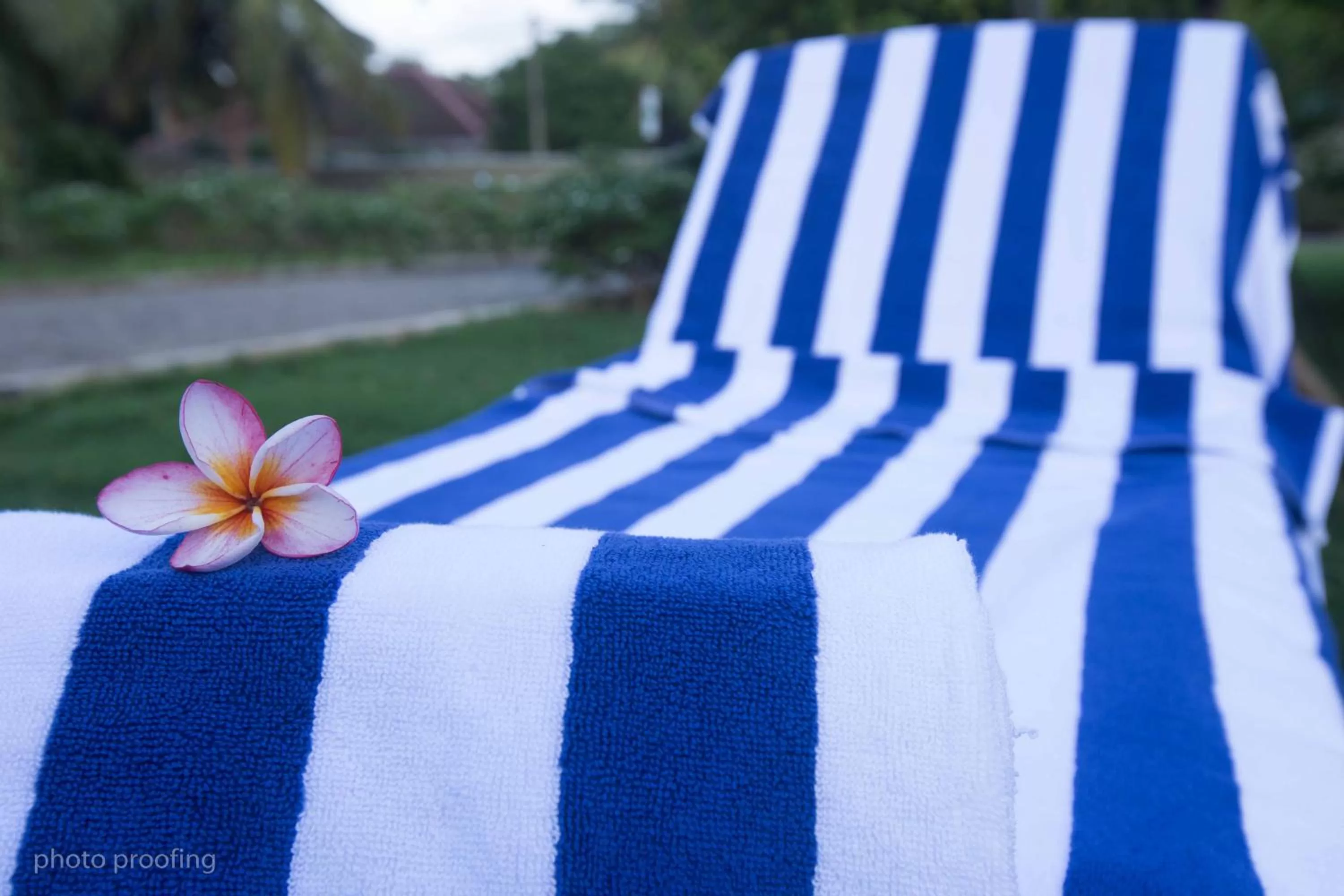 Garden in Jaffna Heritage Hotel