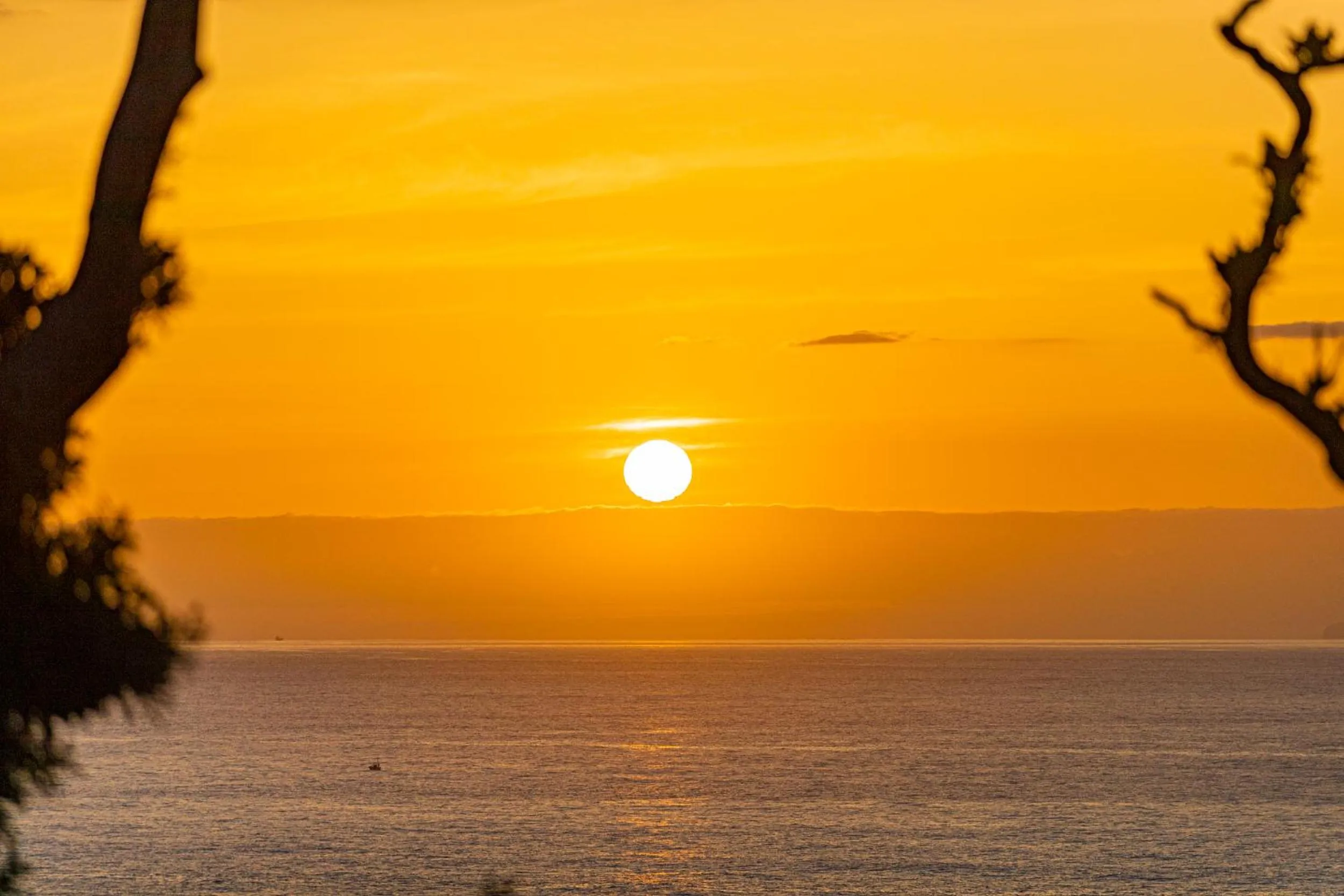 Gardenvilla Shirahama