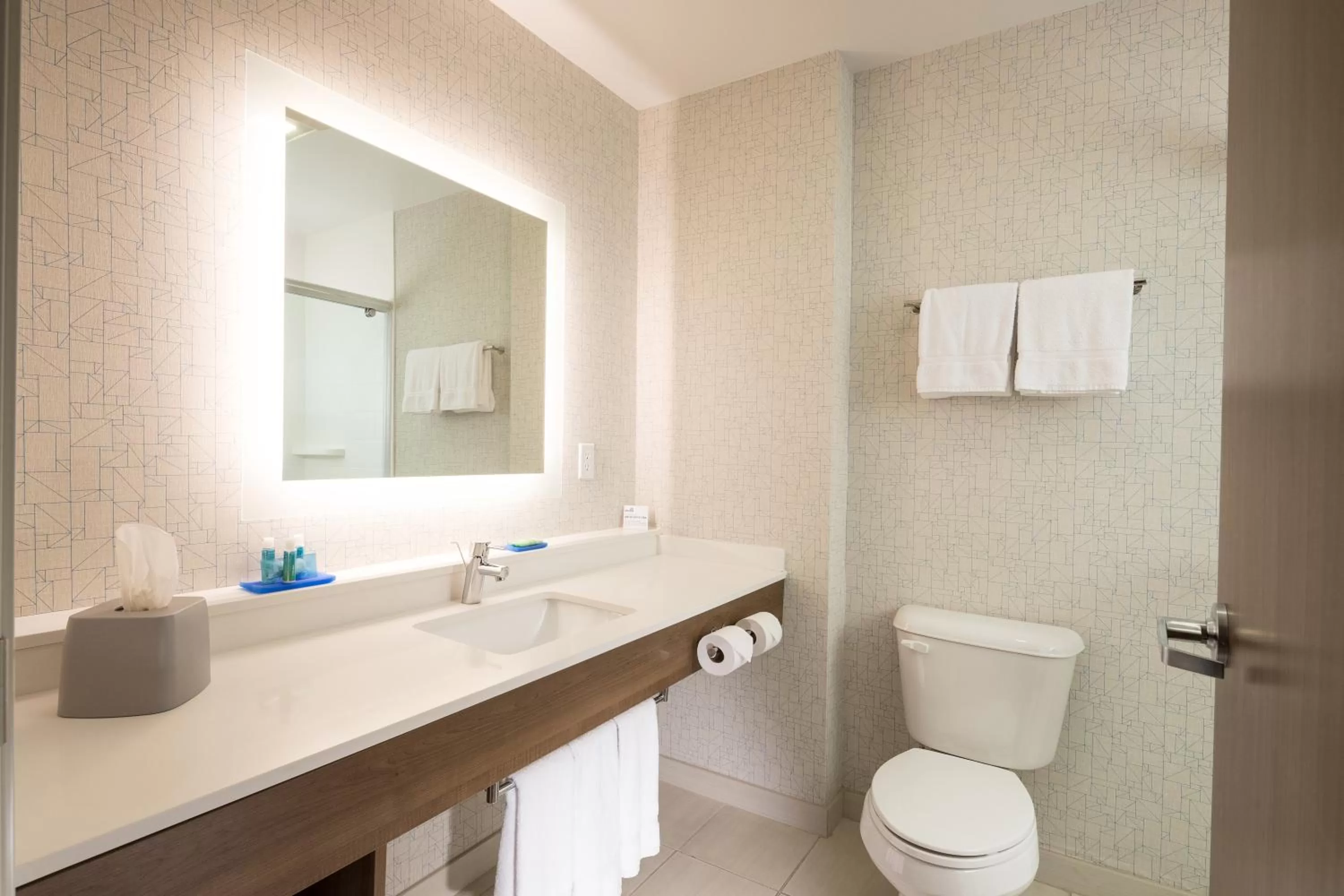 Bathroom in Holiday Inn Express & Suites - Michigan City by IHG