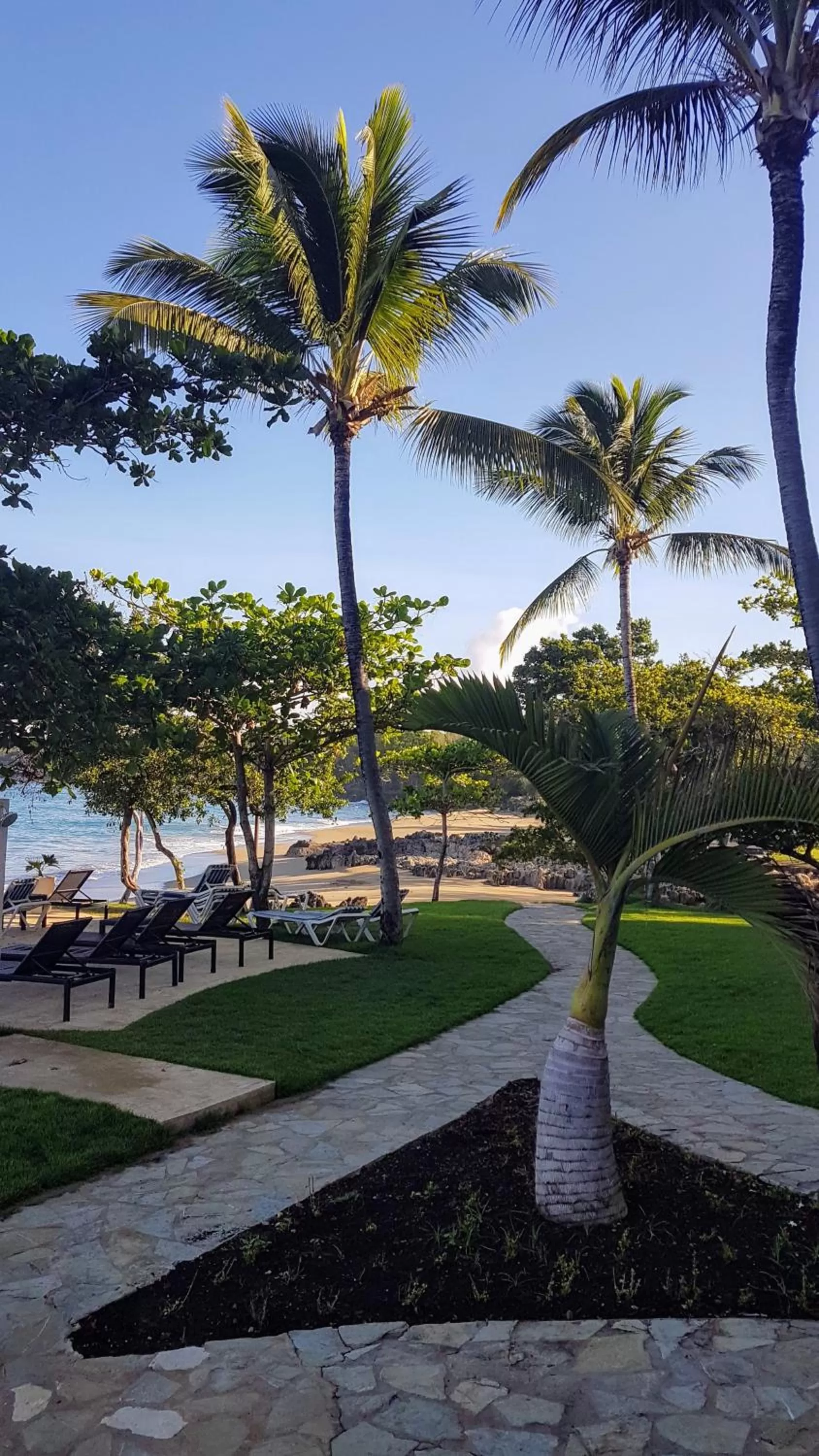 Natural landscape in Instyle Residences at Infiniti Blu