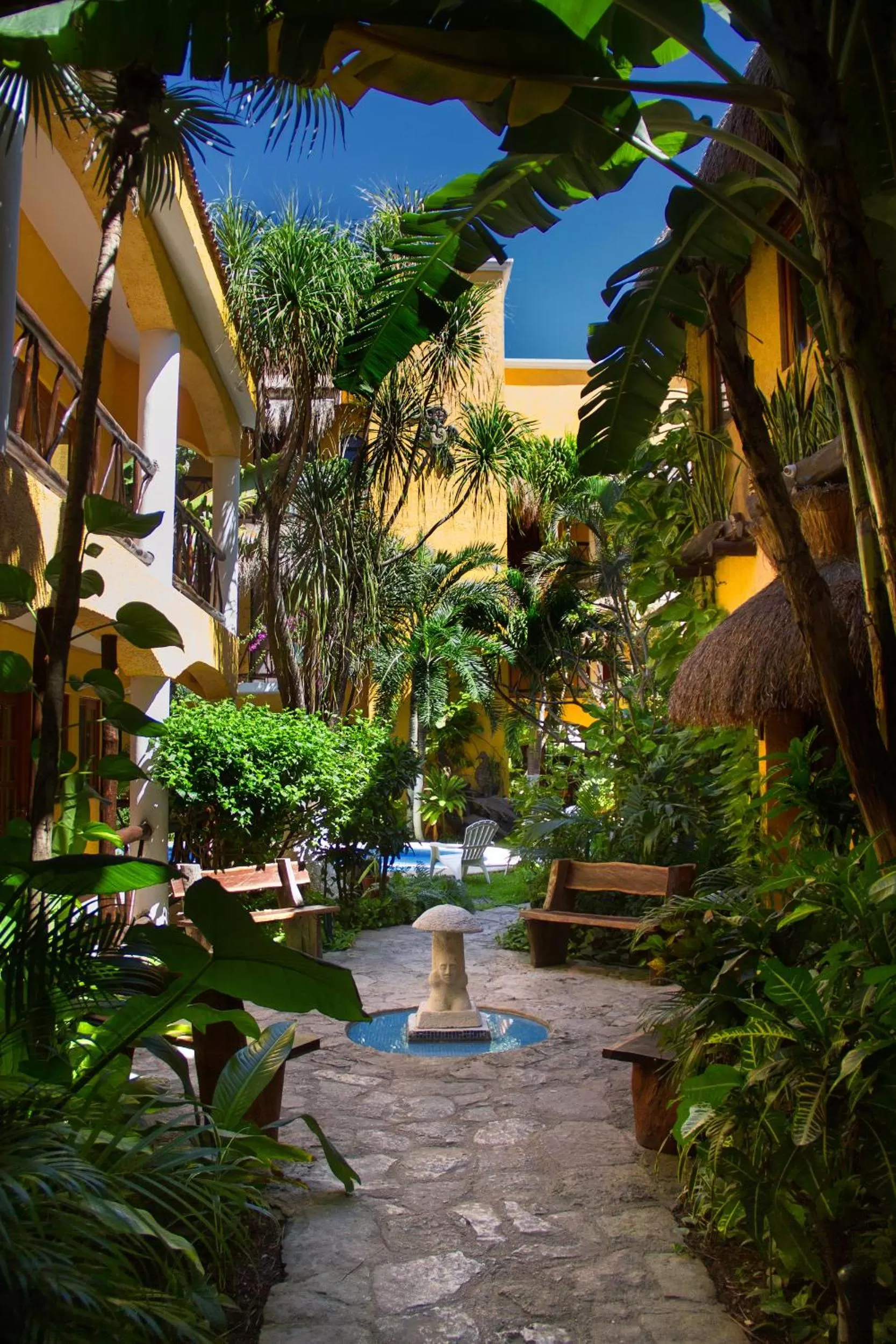 Garden view in Hotel Bosque Caribe, 5th Av. zone