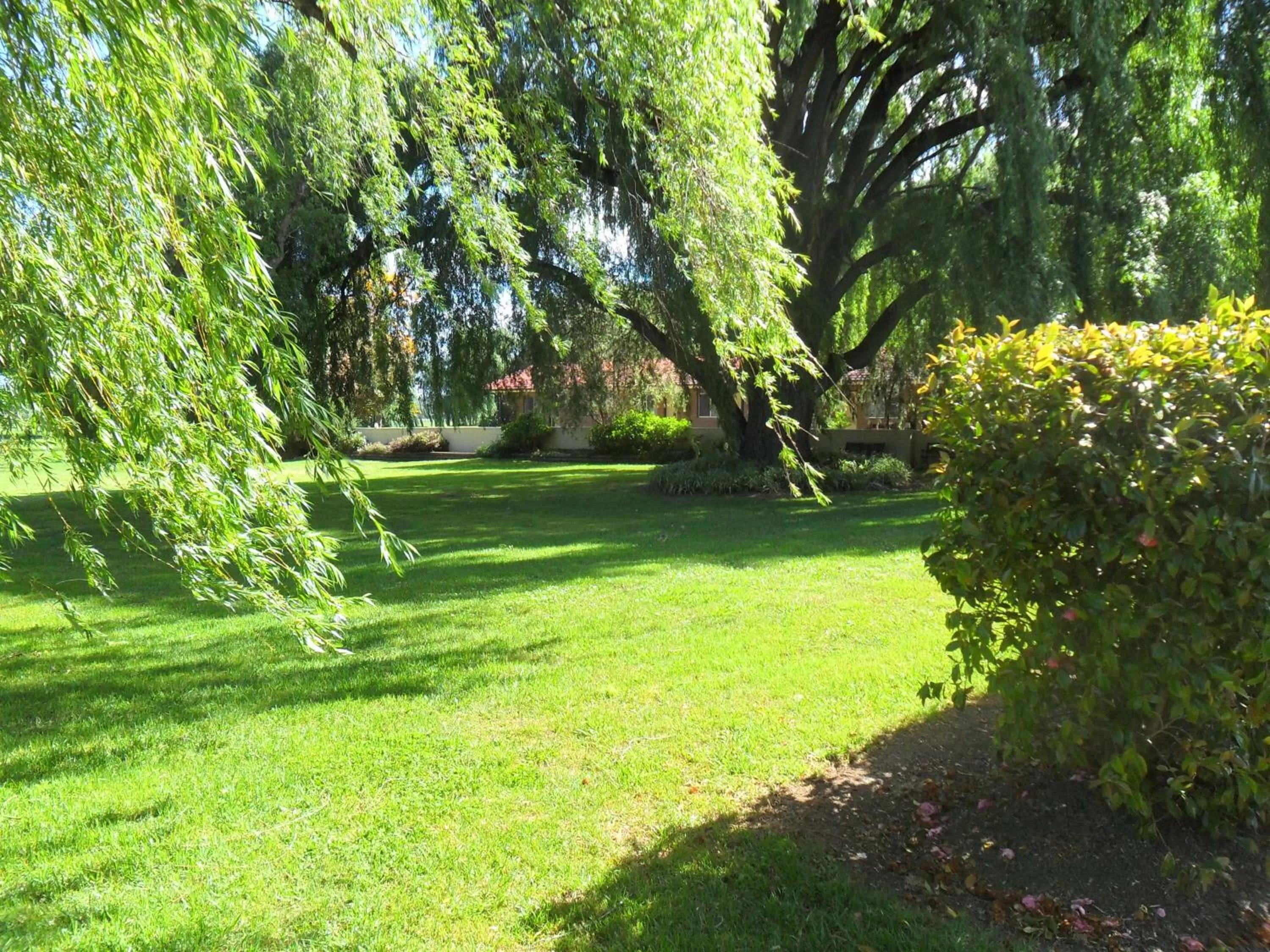 Garden in Moruya Motel