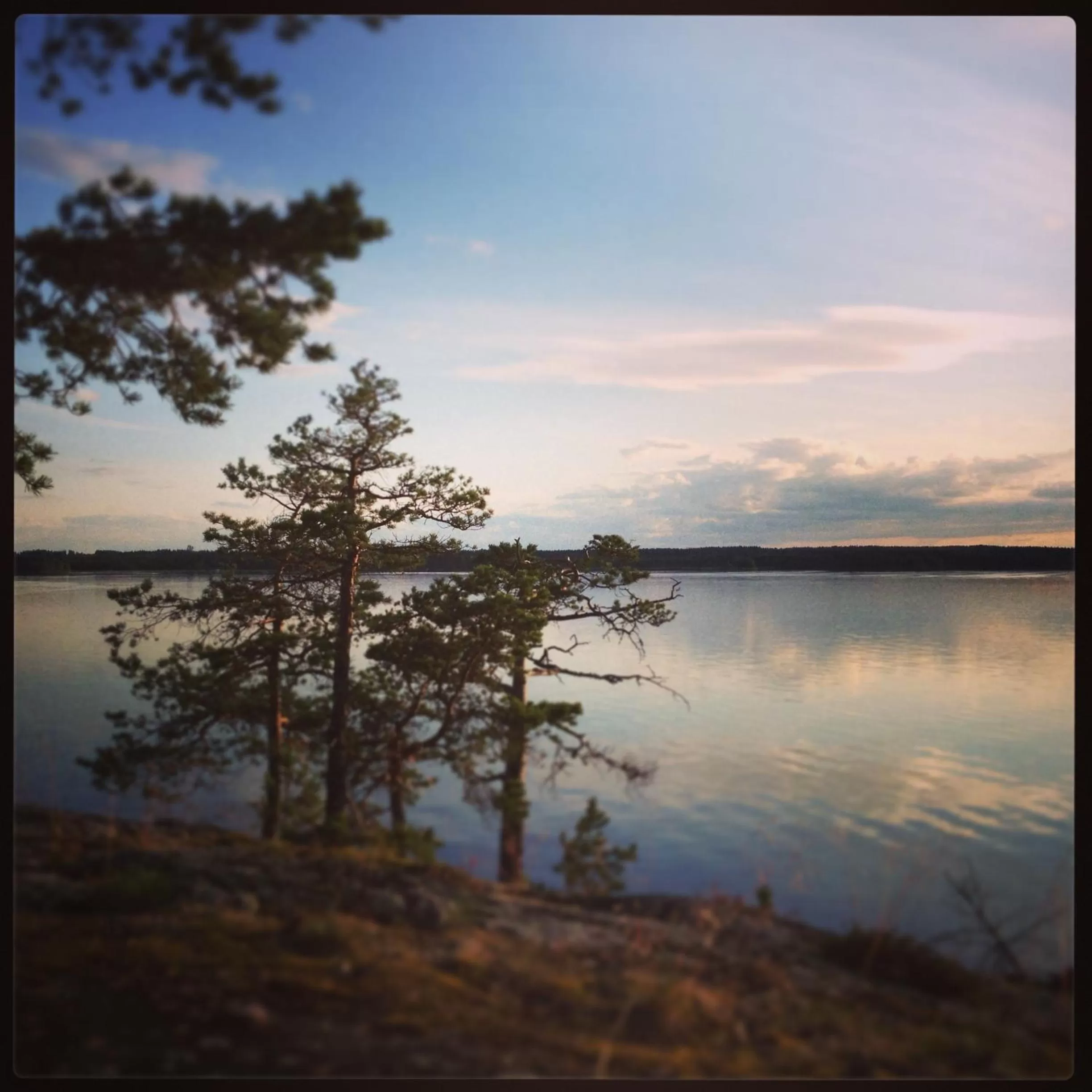 Area and facilities in Hotel & Spa Resort Järvisydän