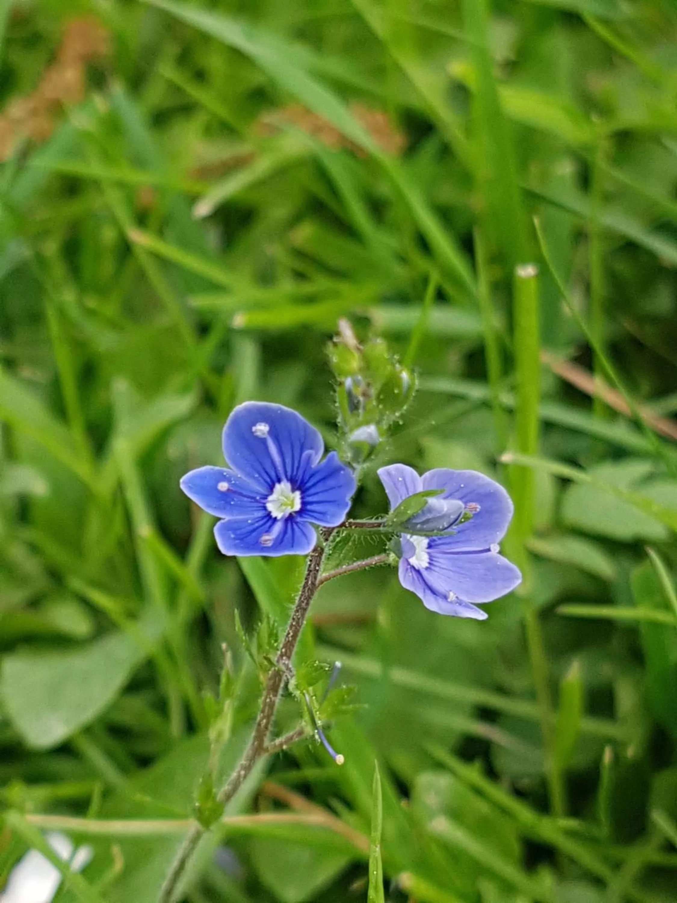 Other in Kurhotel Anders