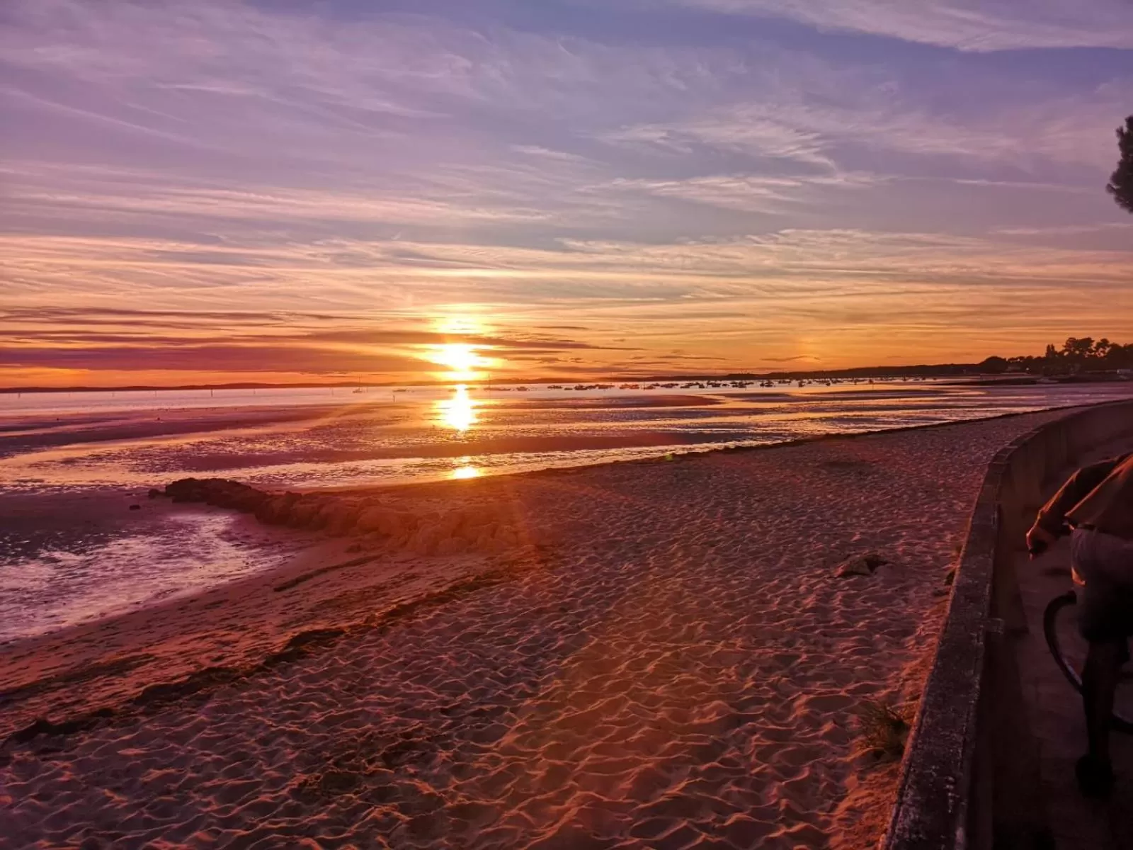 Property building, Beach in Hôtel la petite auberge