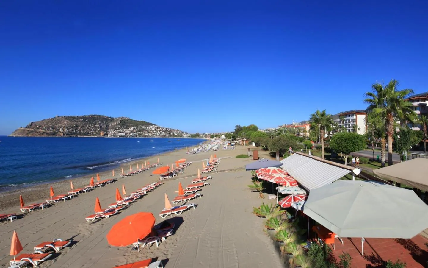 Beach in Hawaii Suite Beach Hotel