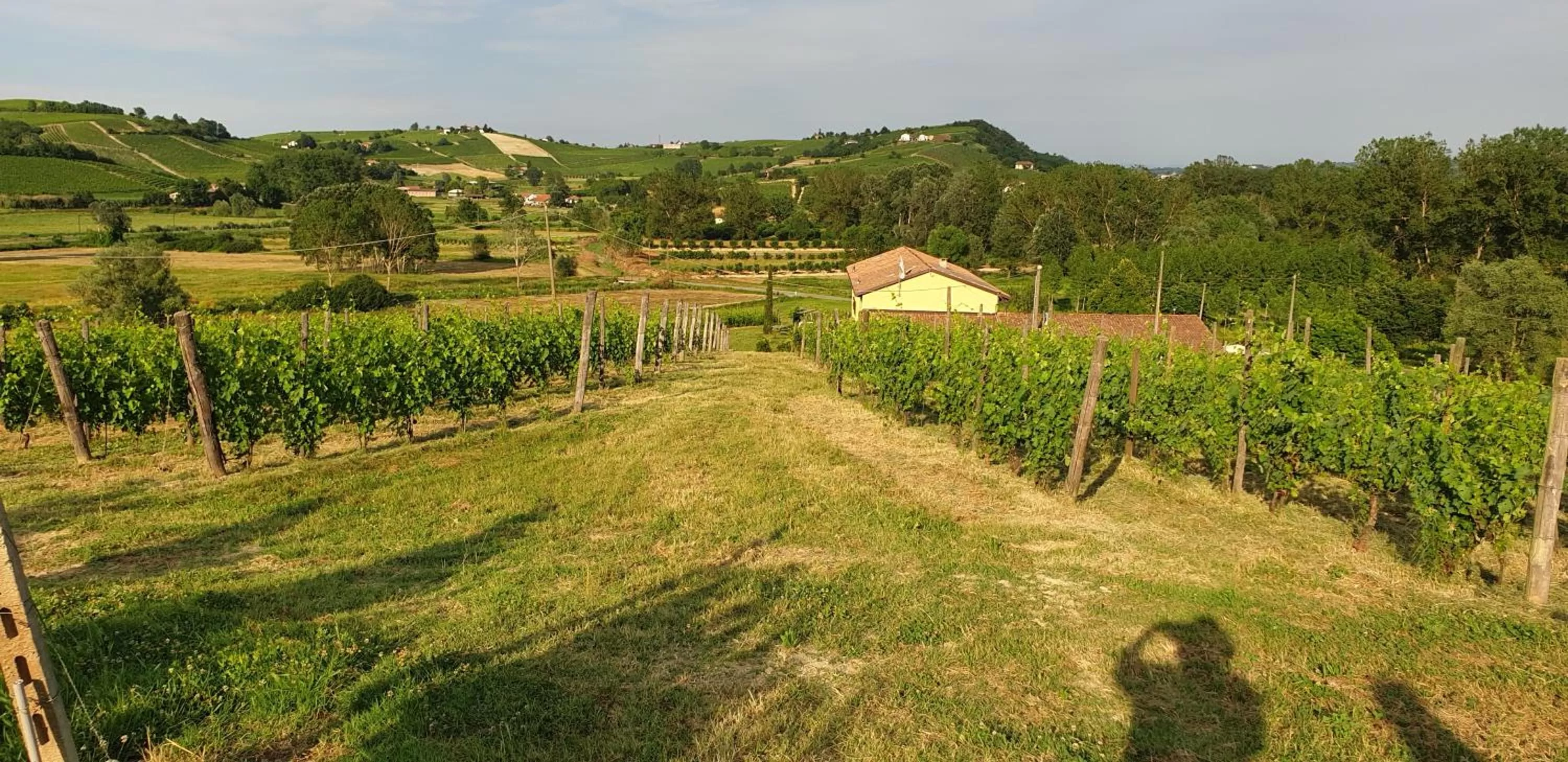 Spring in Villa Vigneto