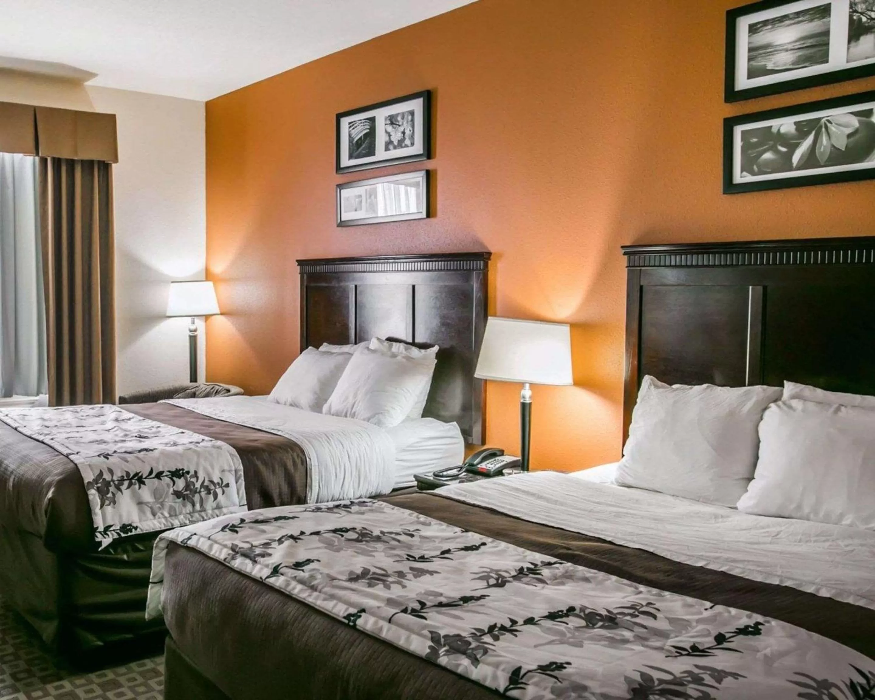 Photo of the whole room, Bed in Sleep Inn & Suites Hwy 290-NW Freeway