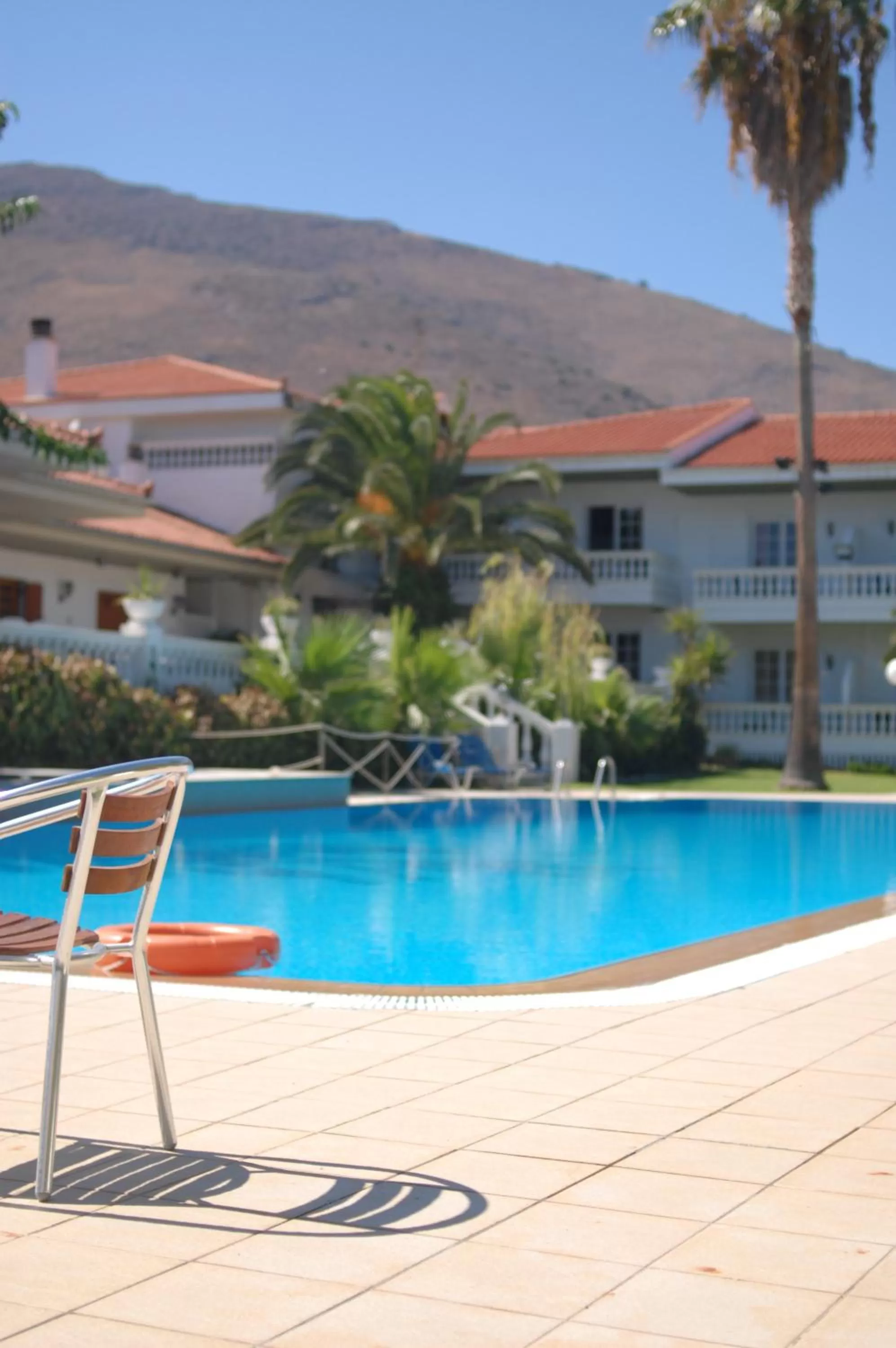 Swimming pool in Villa Olympia