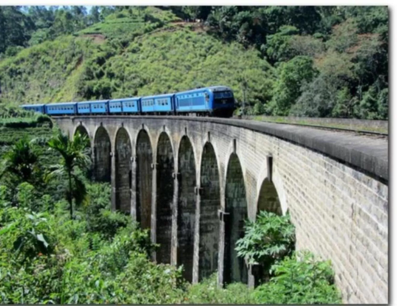 Nearby landmark in Jungle Face Inn