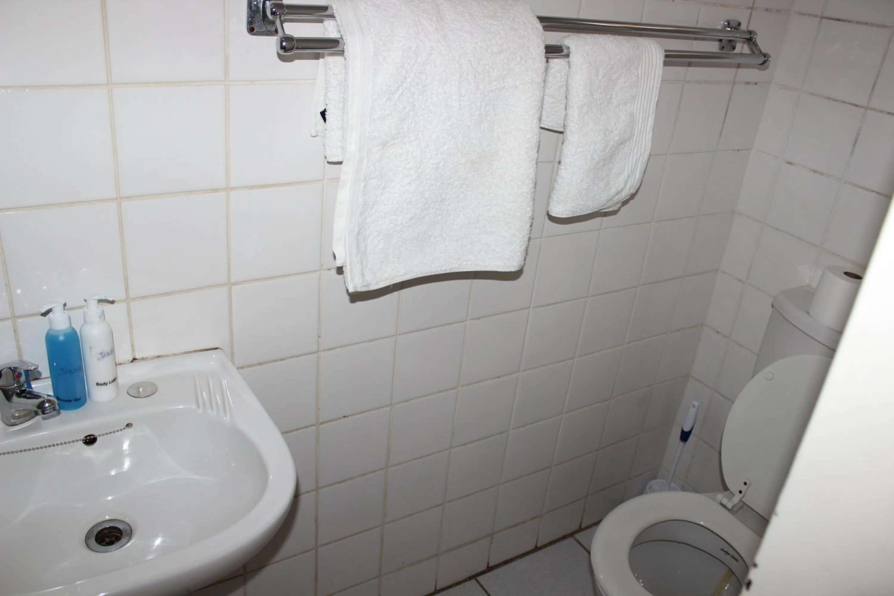 Toilet in Purple Olive Guest House