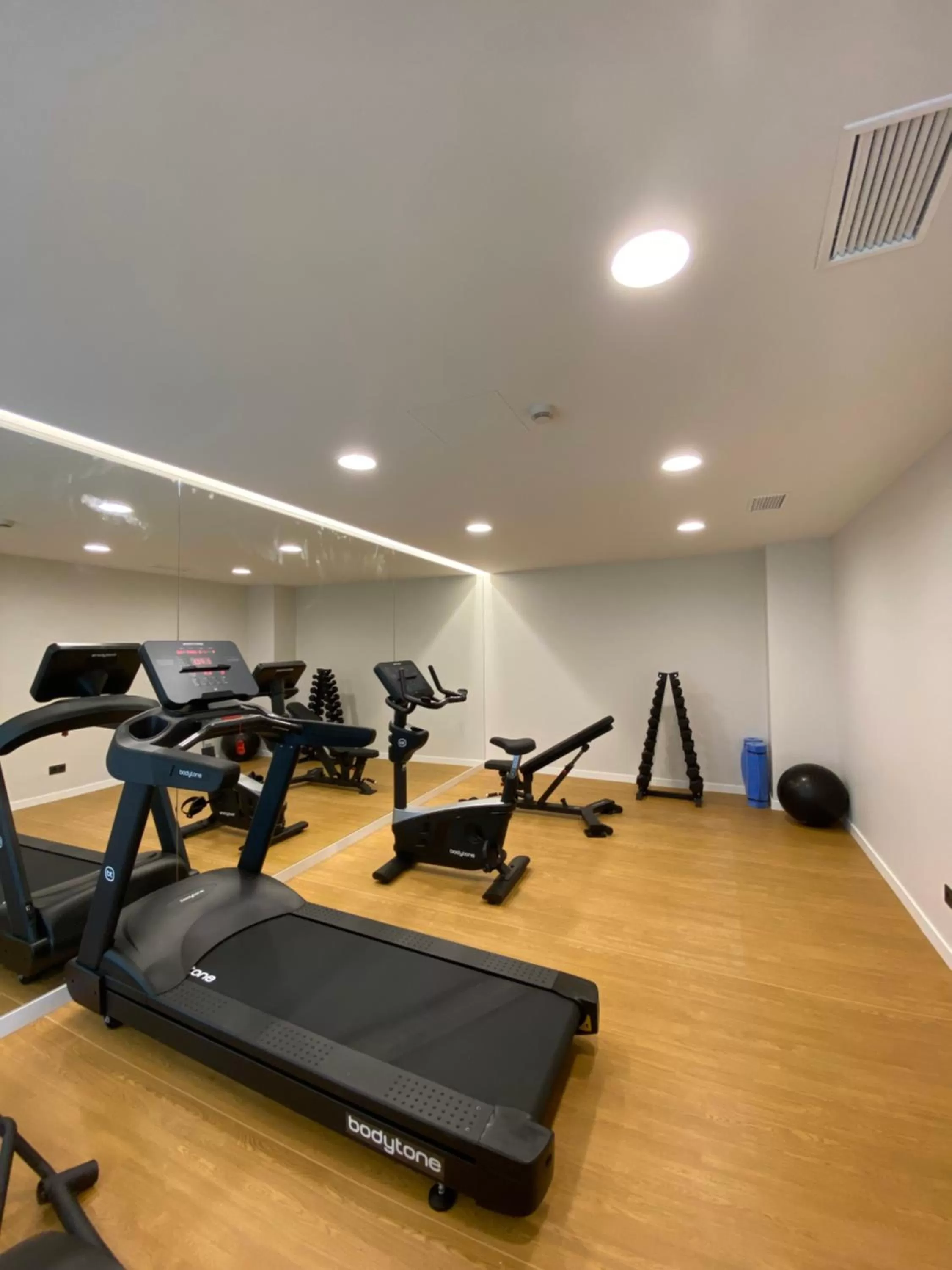 Fitness centre/facilities in Eurostars San Lazaro