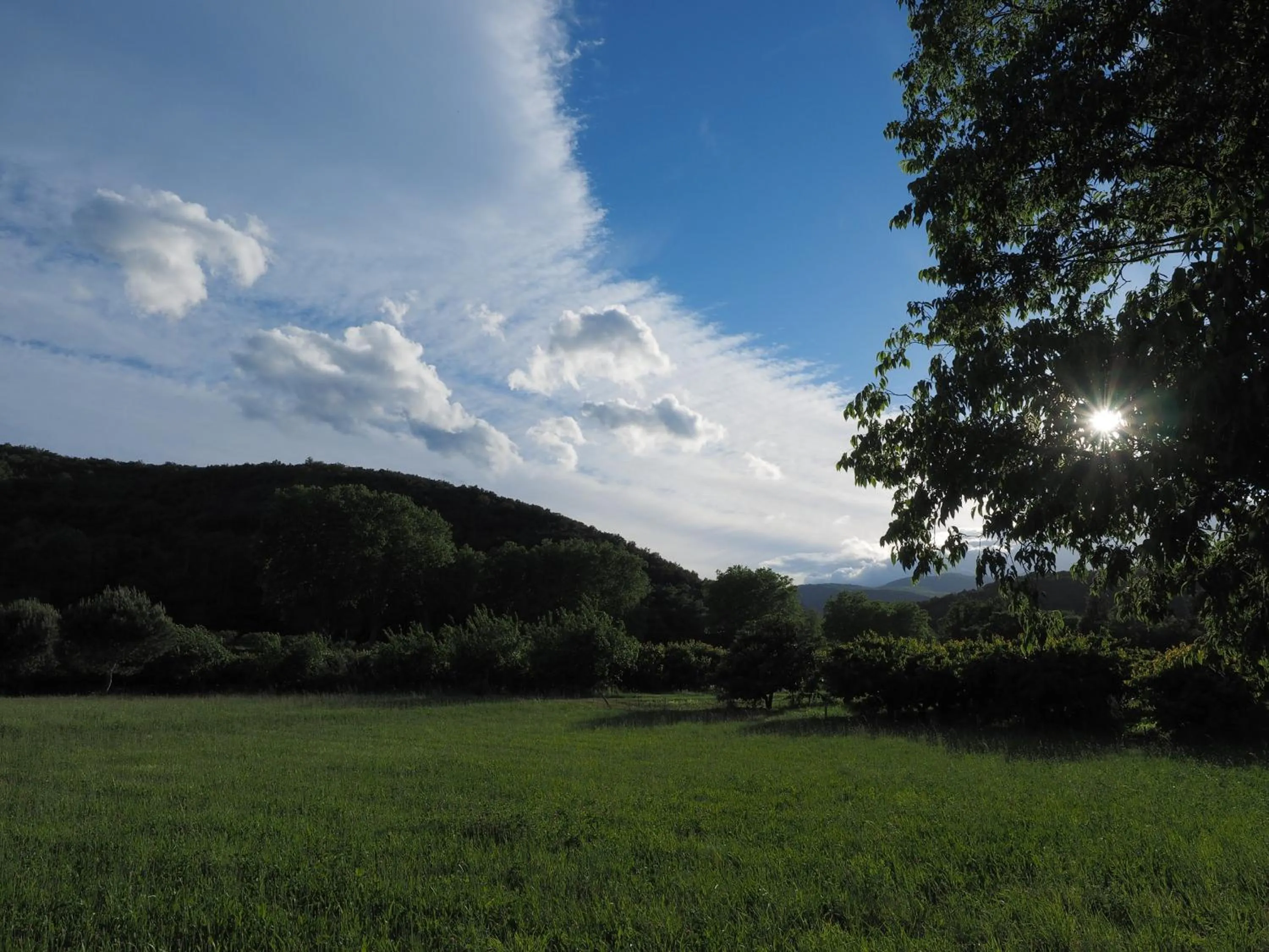 Day in Hotel Le Mas Trilles