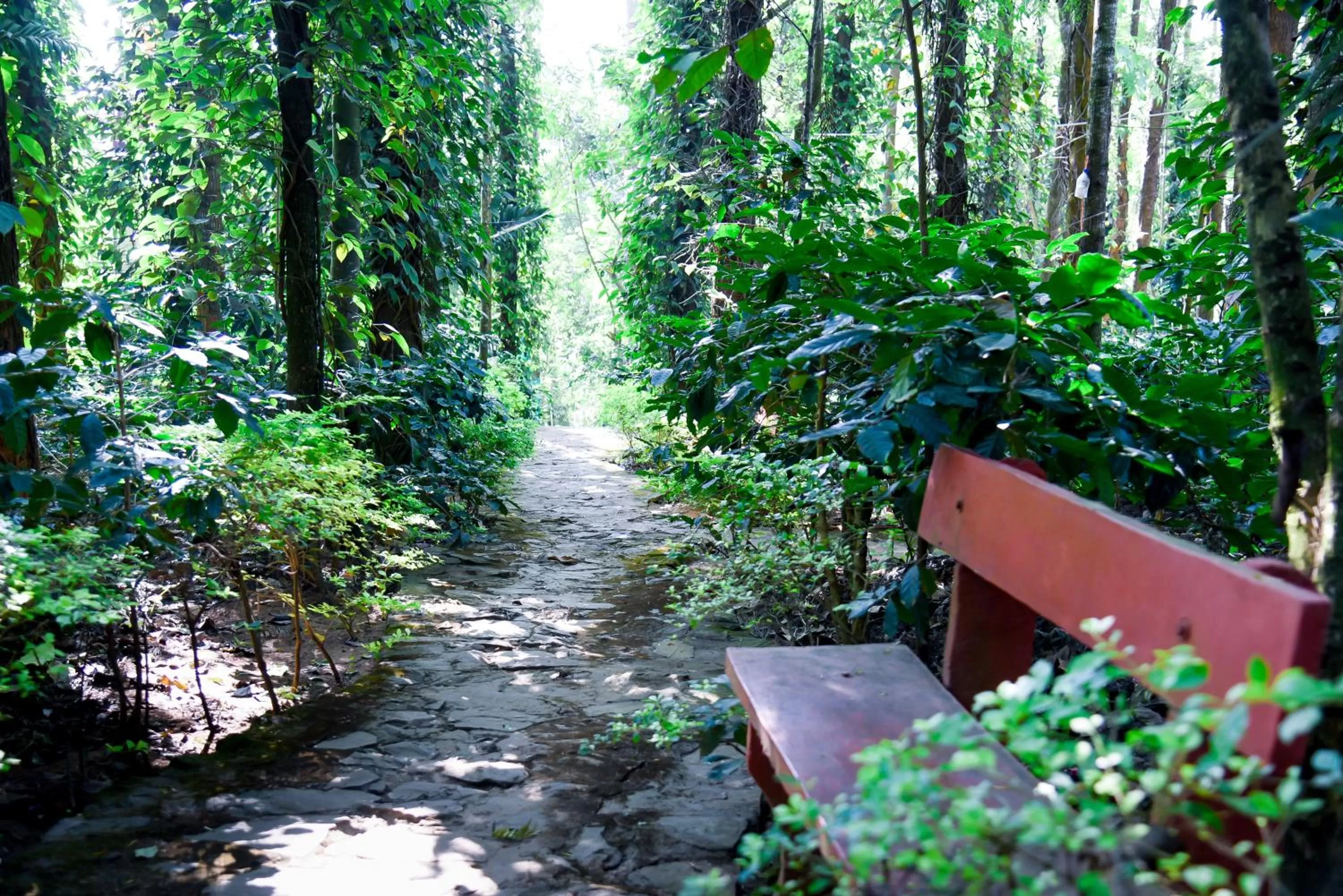 Garden in The Spectrum Resort - Chikmagalur
