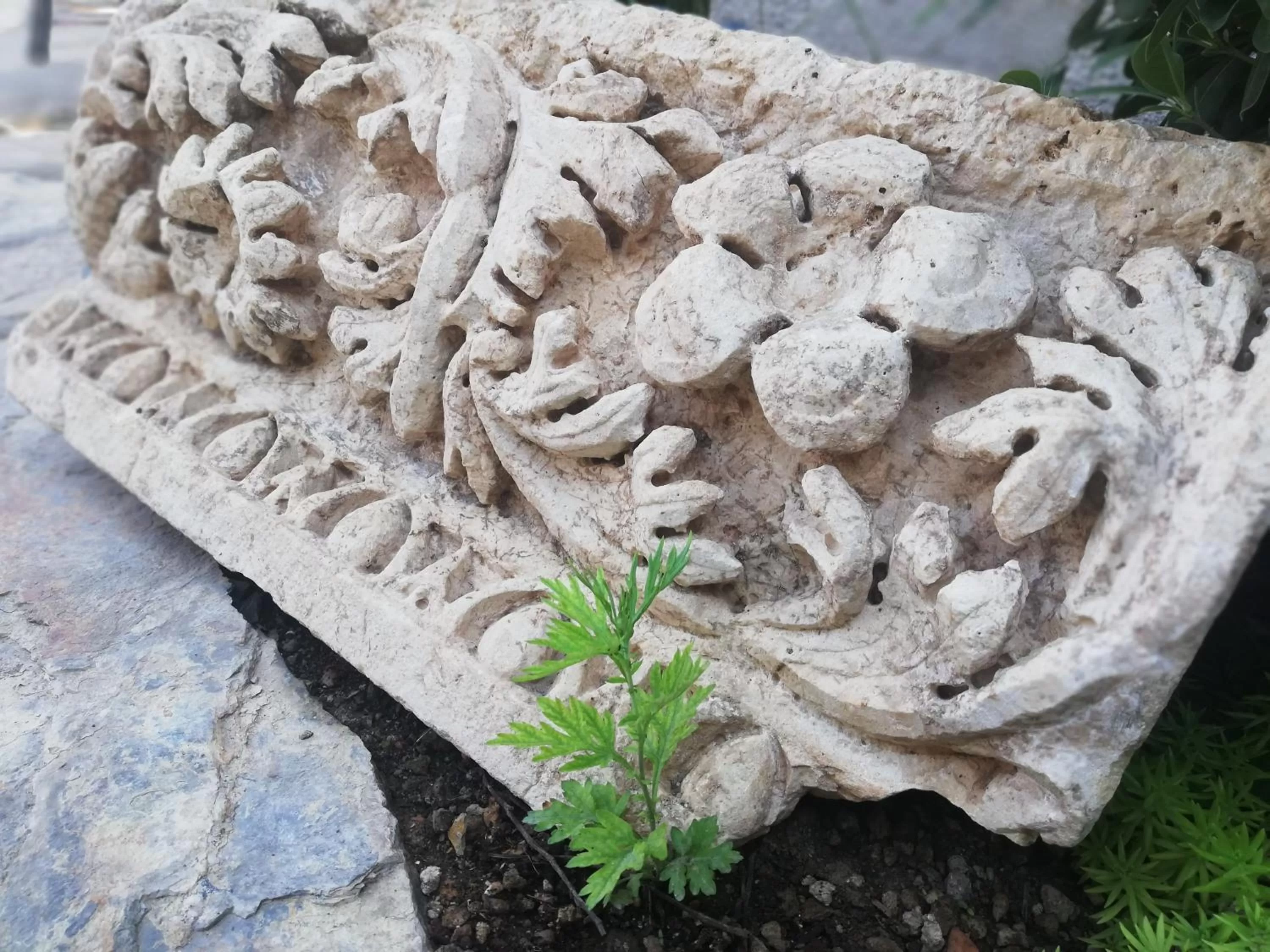 Garden in RuinAdalia Hotel - Adult Only