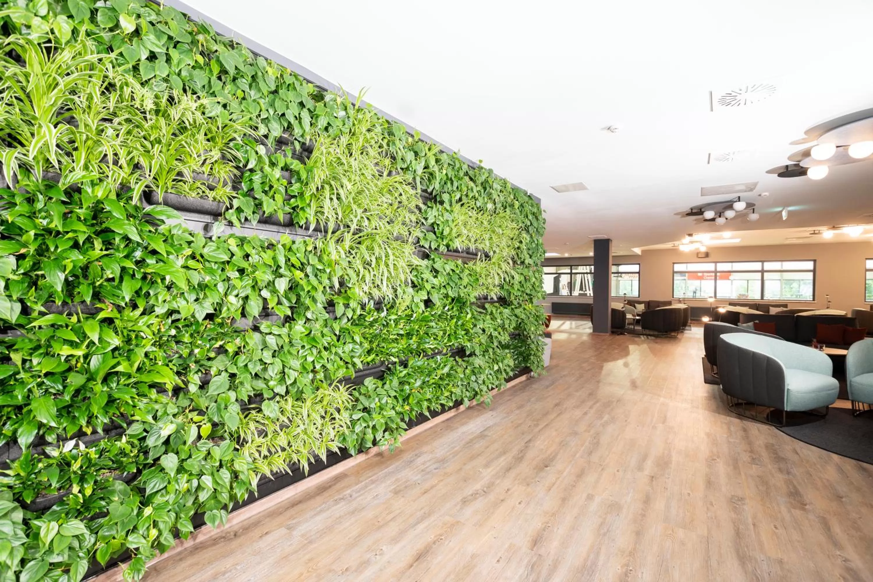 Lobby or reception in Feel Good Hotel