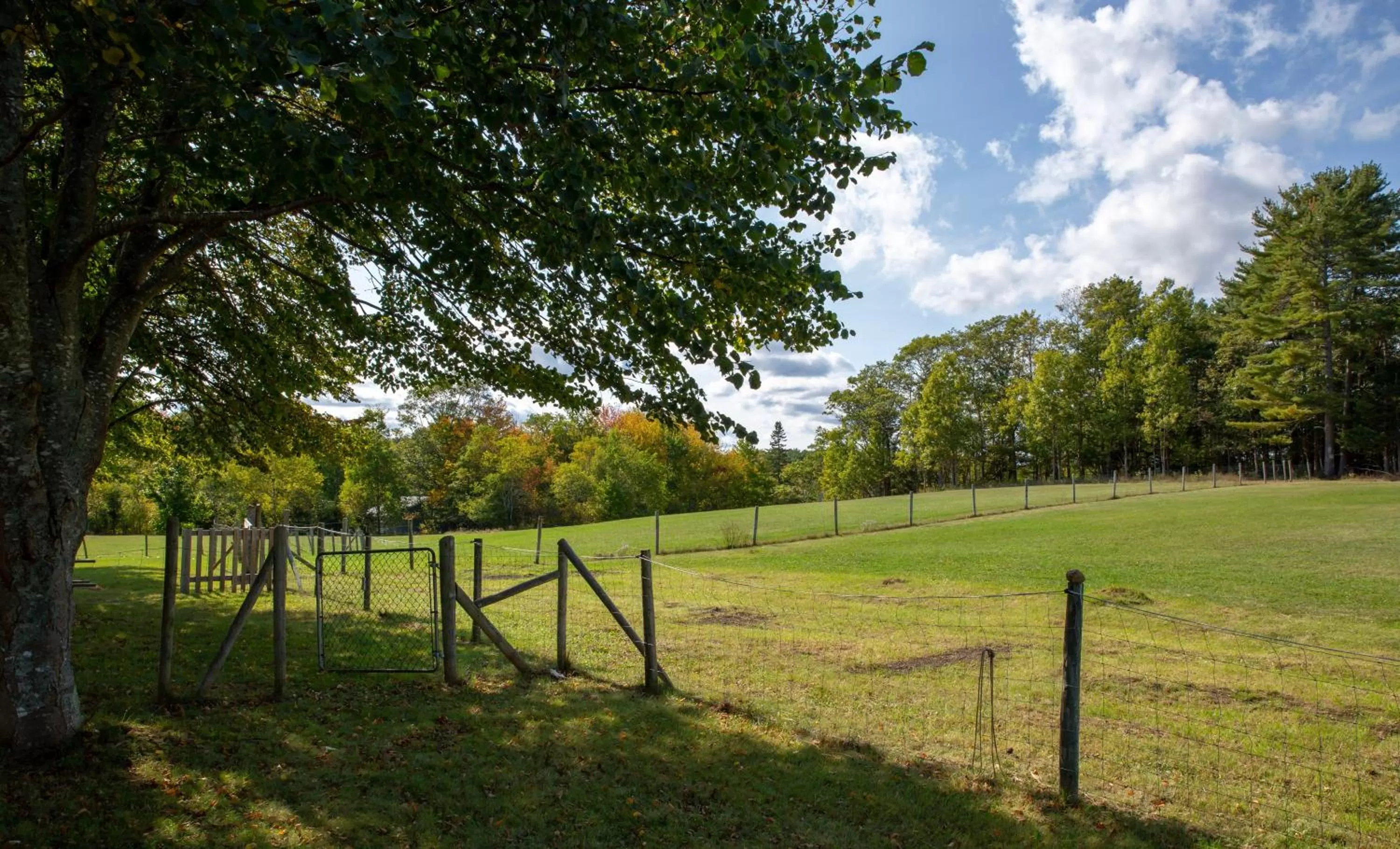 Garden in River Ridge Lodge