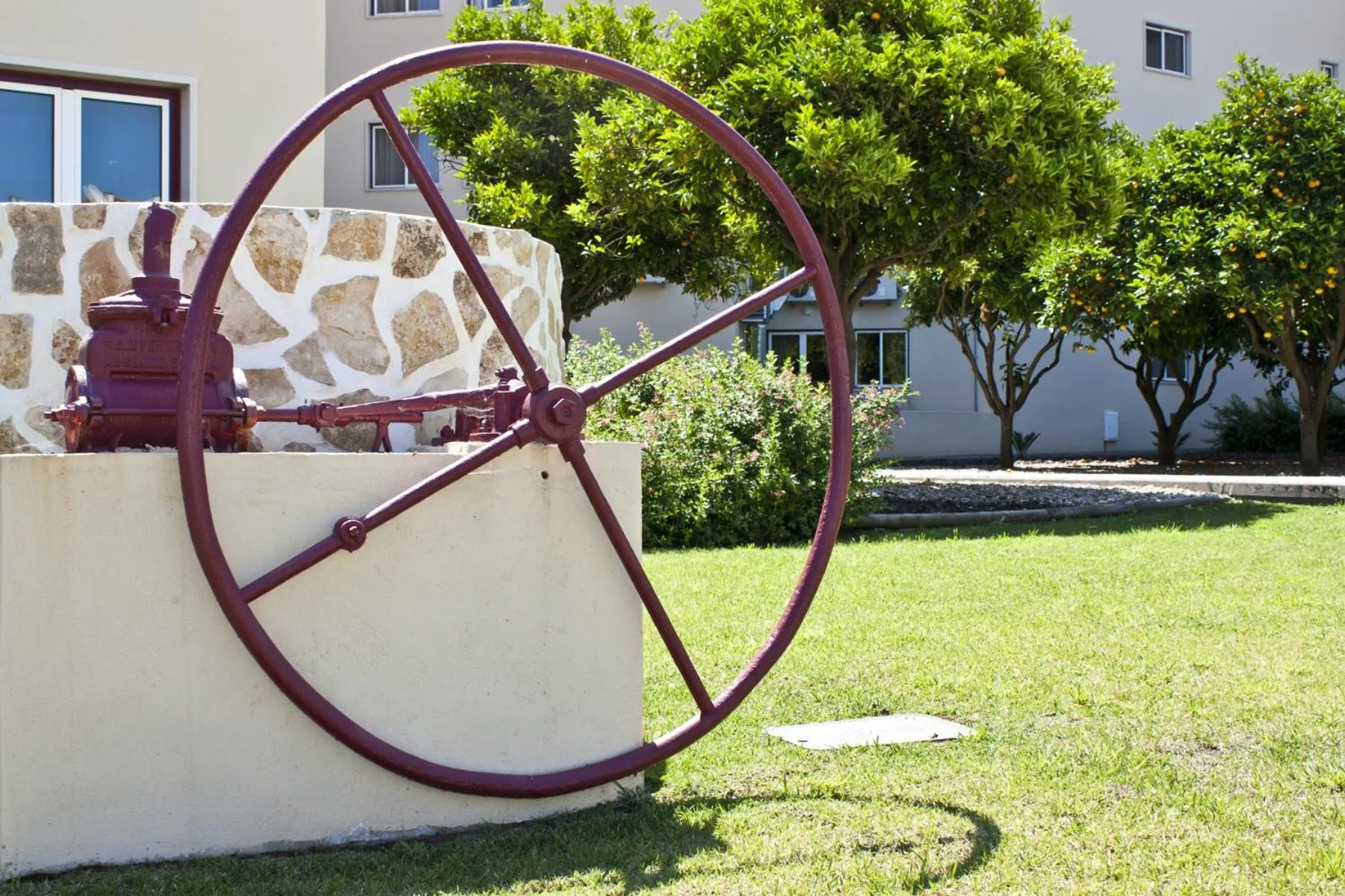Garden in Hotel Comendador