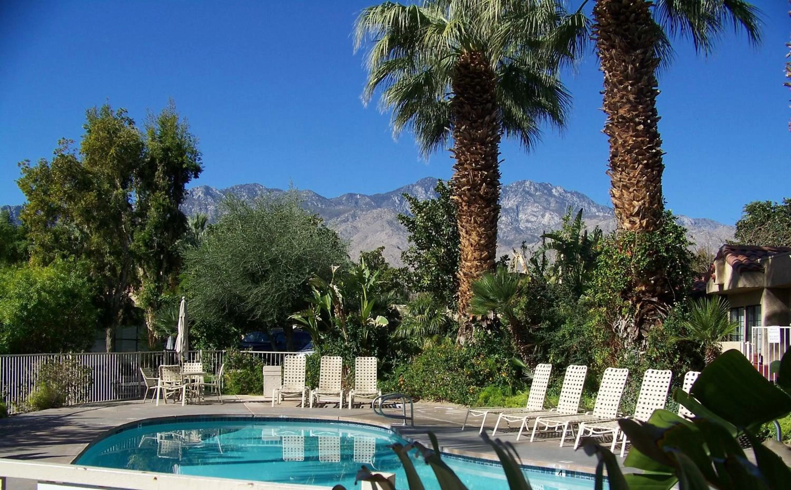 Swimming pool in The Oasis Resort