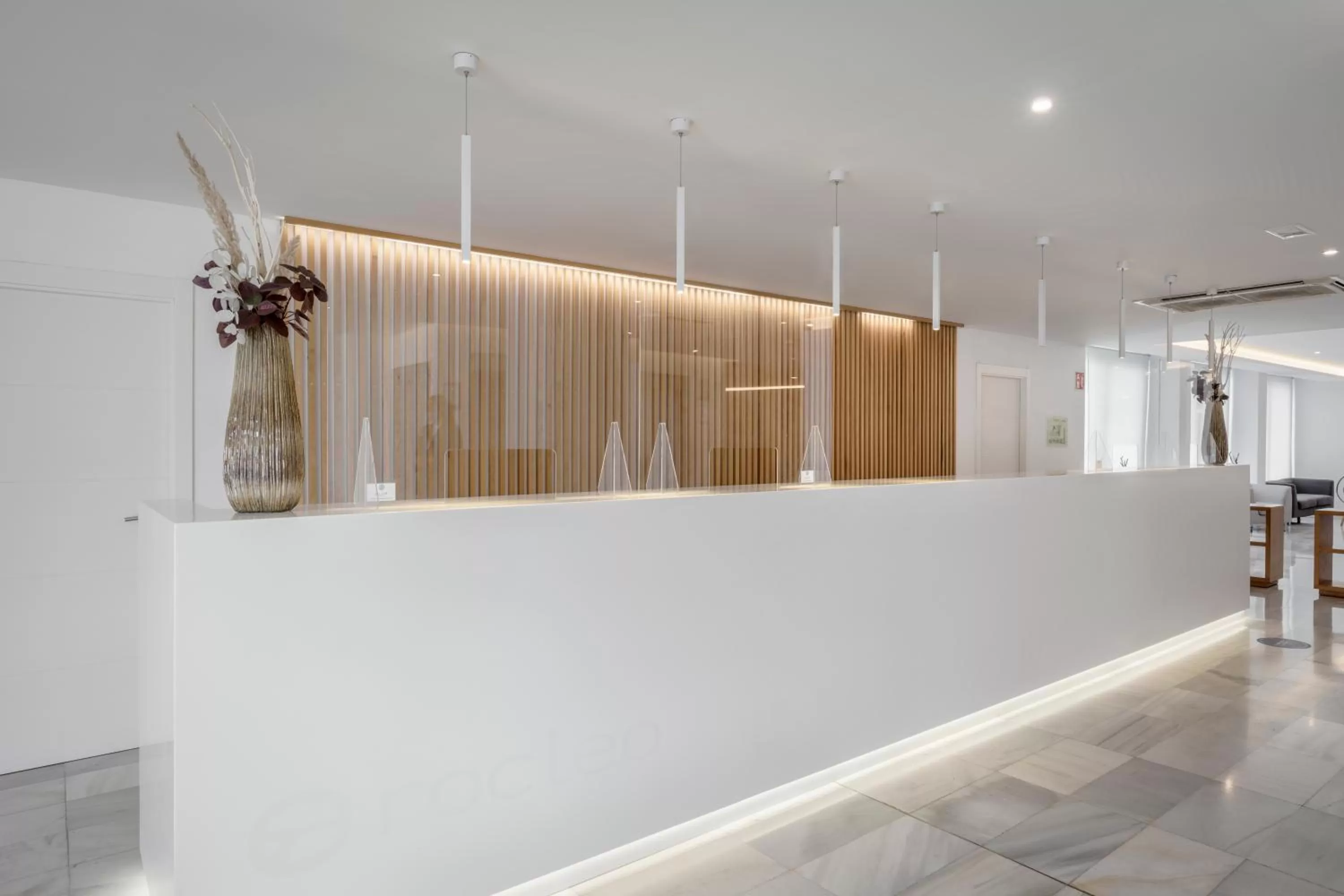 Lobby or reception in Alua Leo