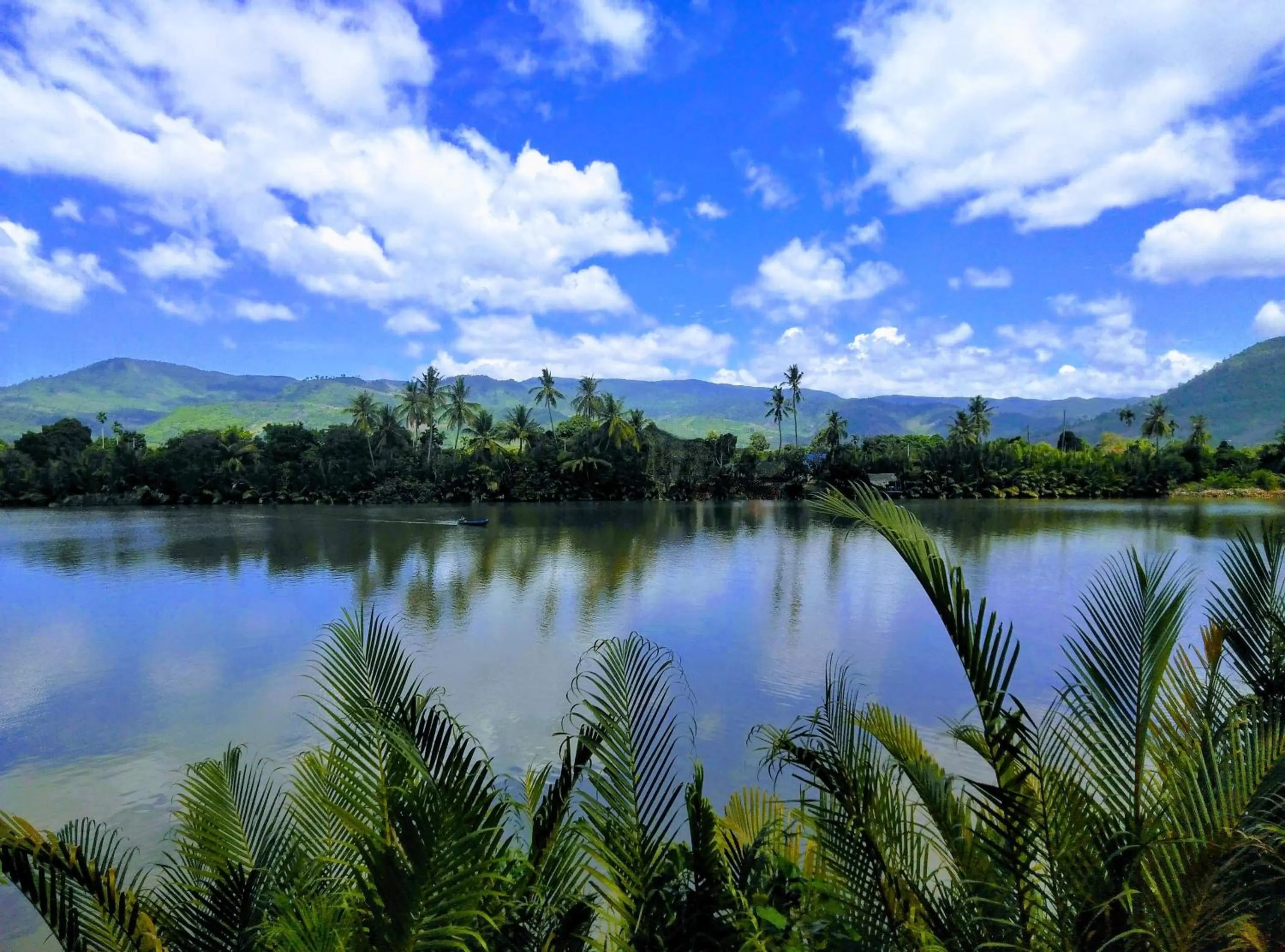 Swimming pool in Green Mango Bungalows