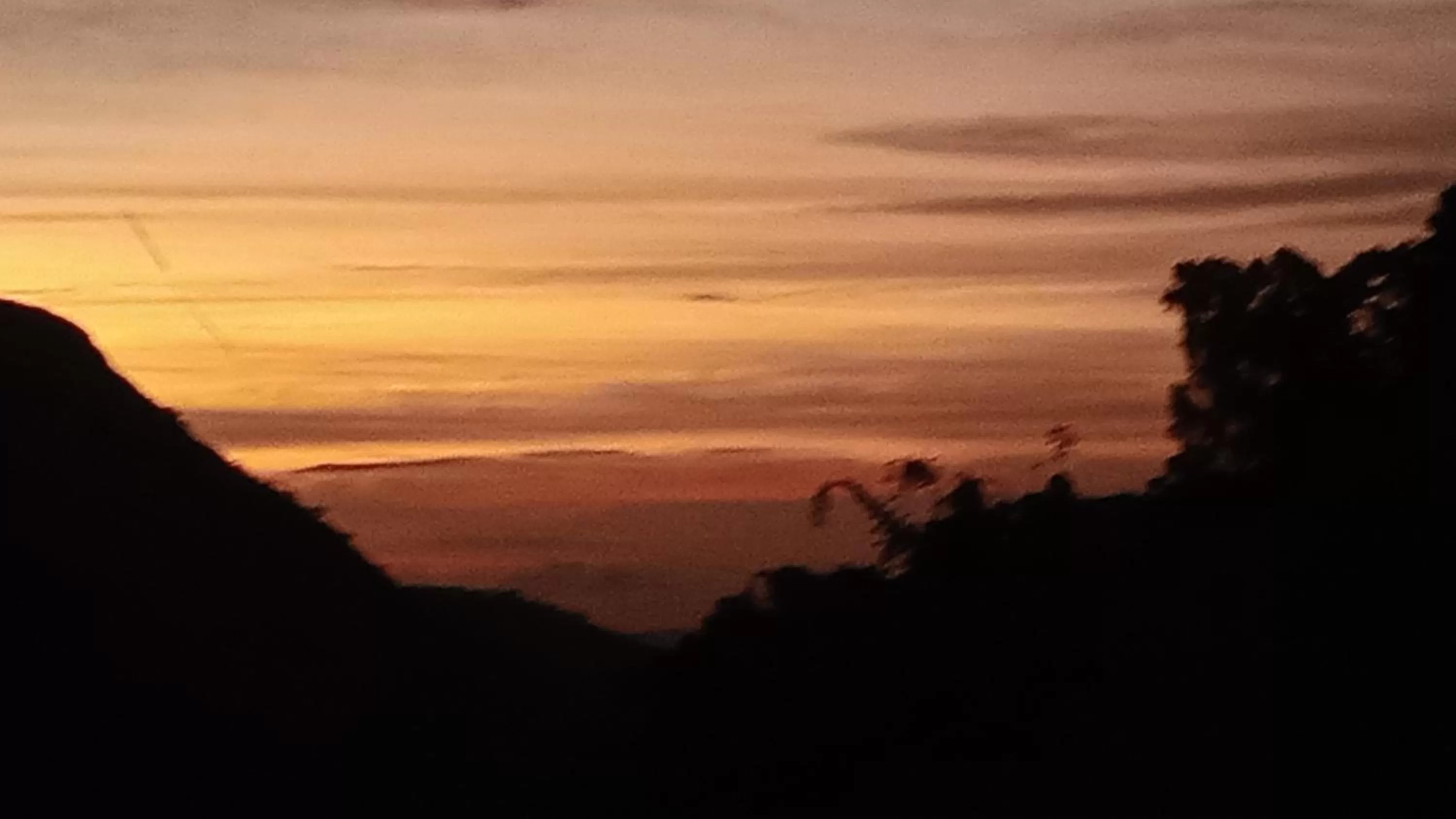 Ella Lucky Panoramic