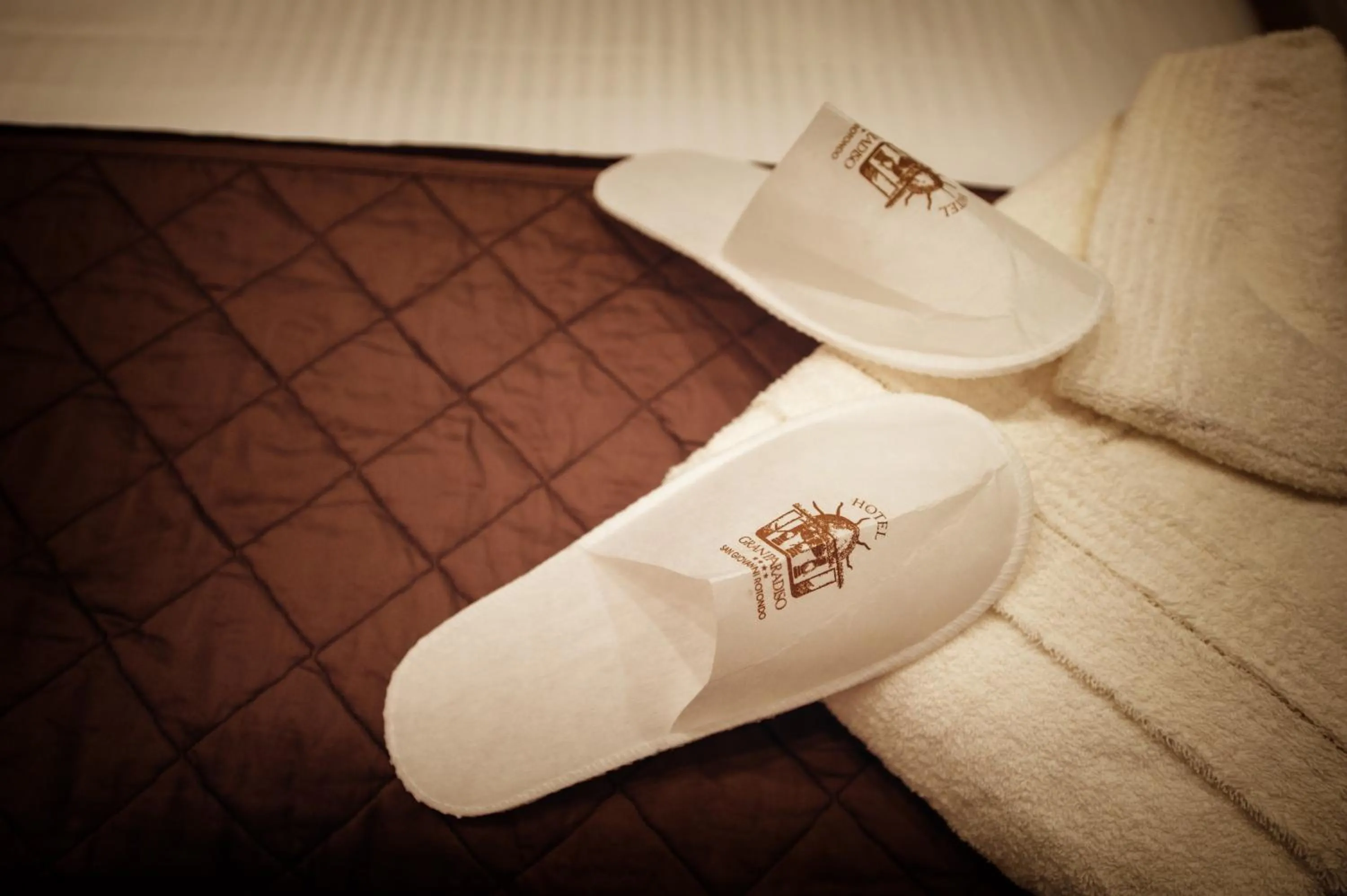 Gran Paradiso Hotel Spa