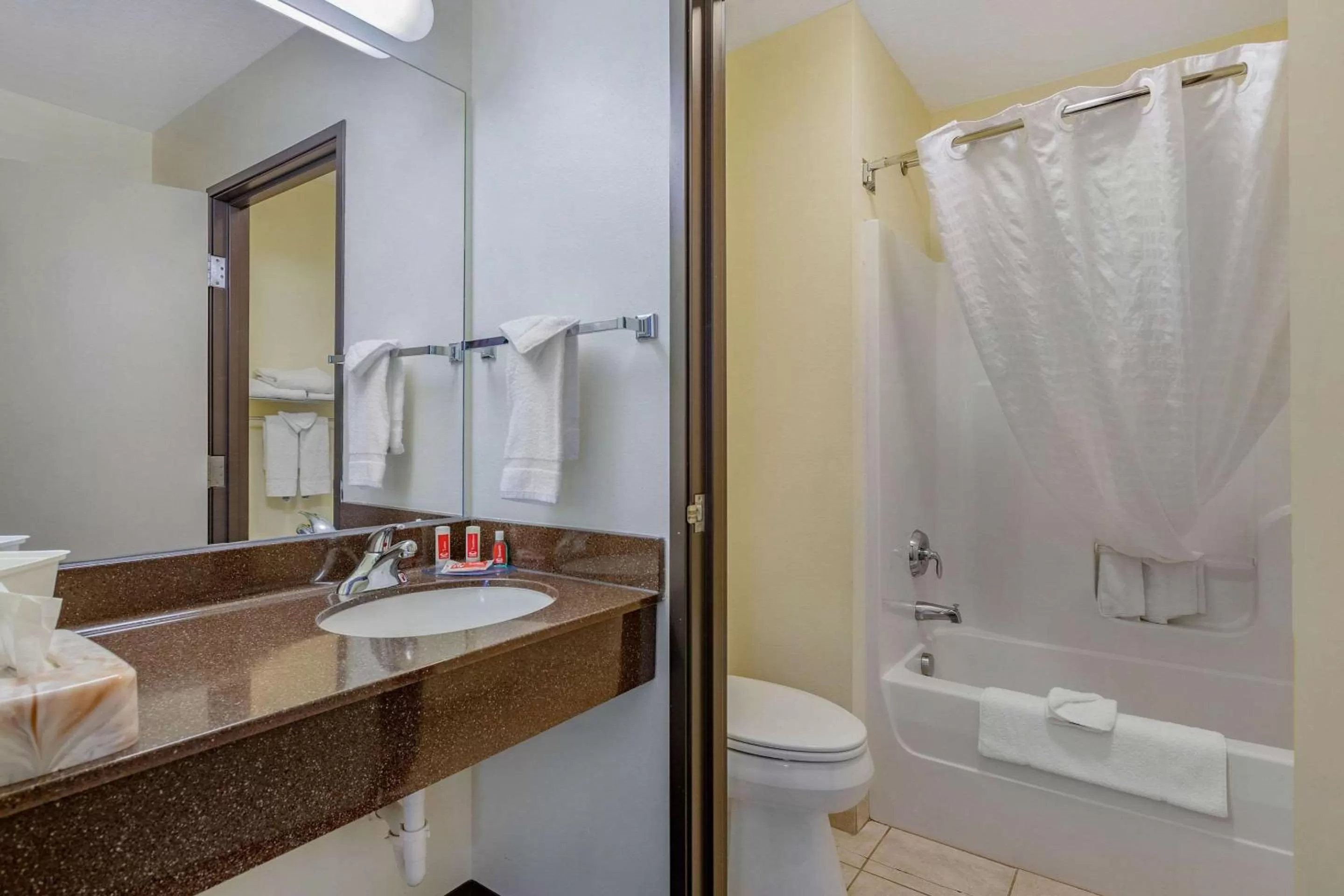 Bathroom in Econo Lodge Inn & Suites Des Moines Fairgrounds Area