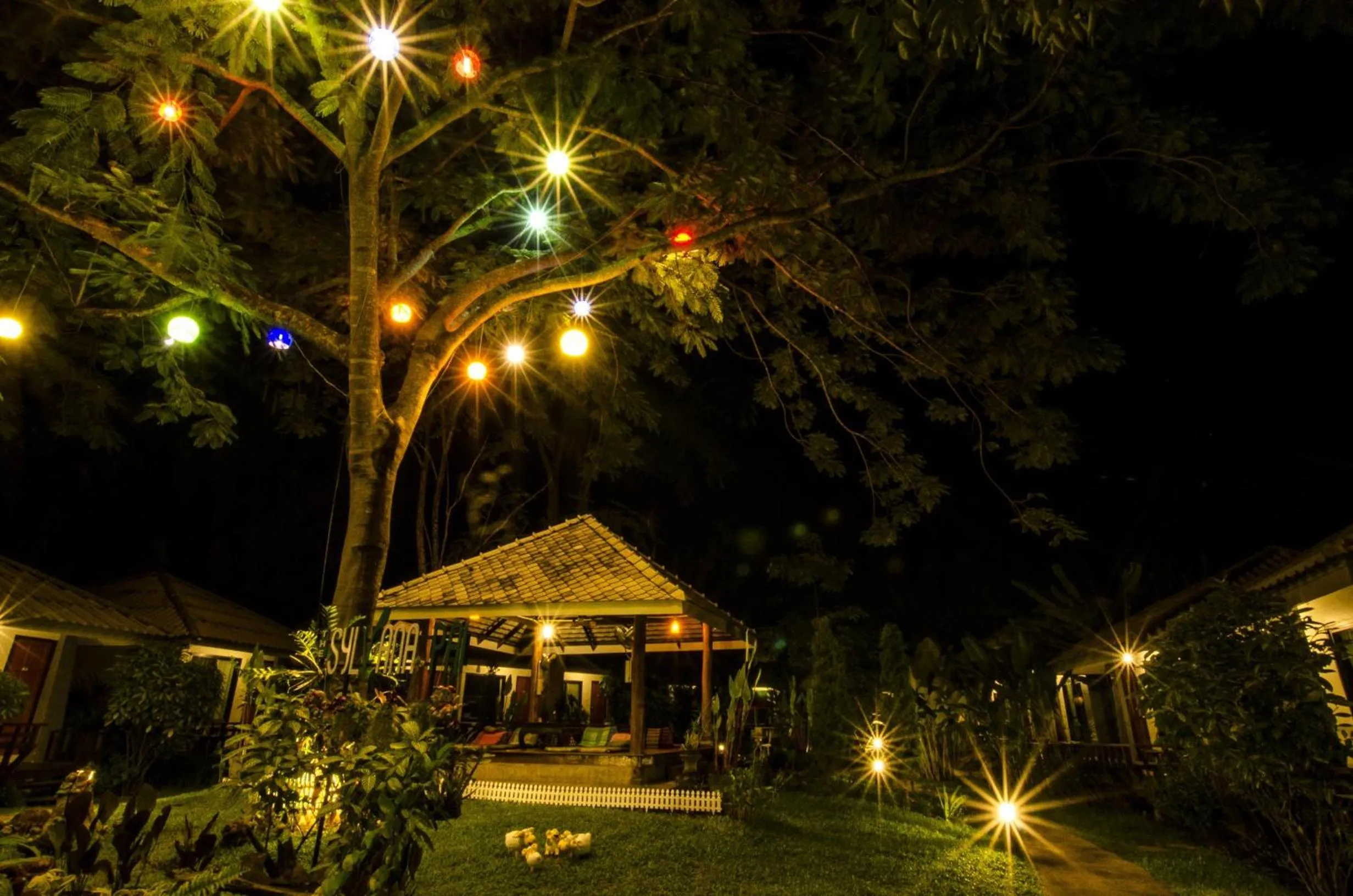 Natural landscape in The Sylvana Pai