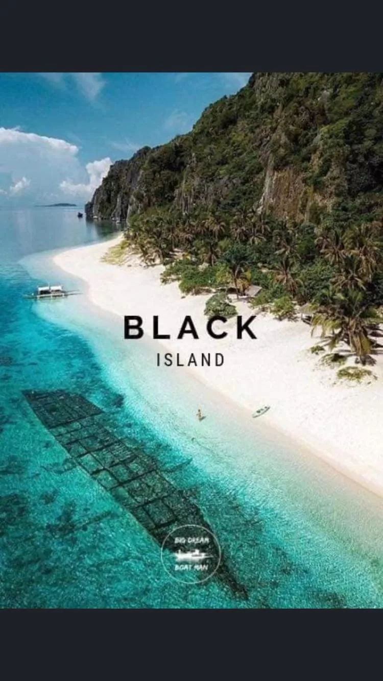 Sanctuaria Treehouses Busuanga