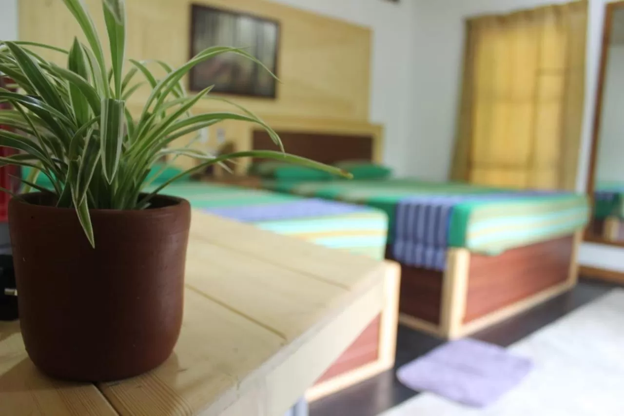 Bed in Green Cottage