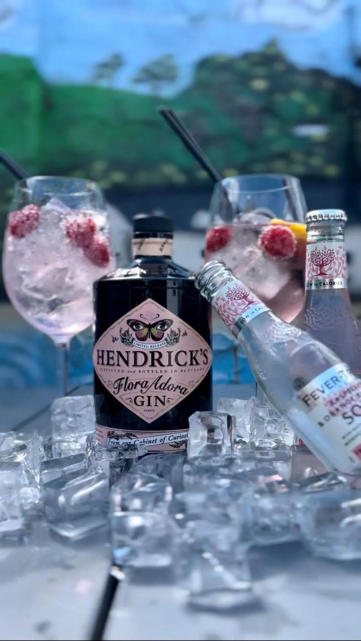 Restaurant/places to eat in The Seagate