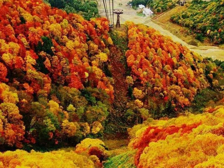 Nearby landmark in Hotel Yudanaka